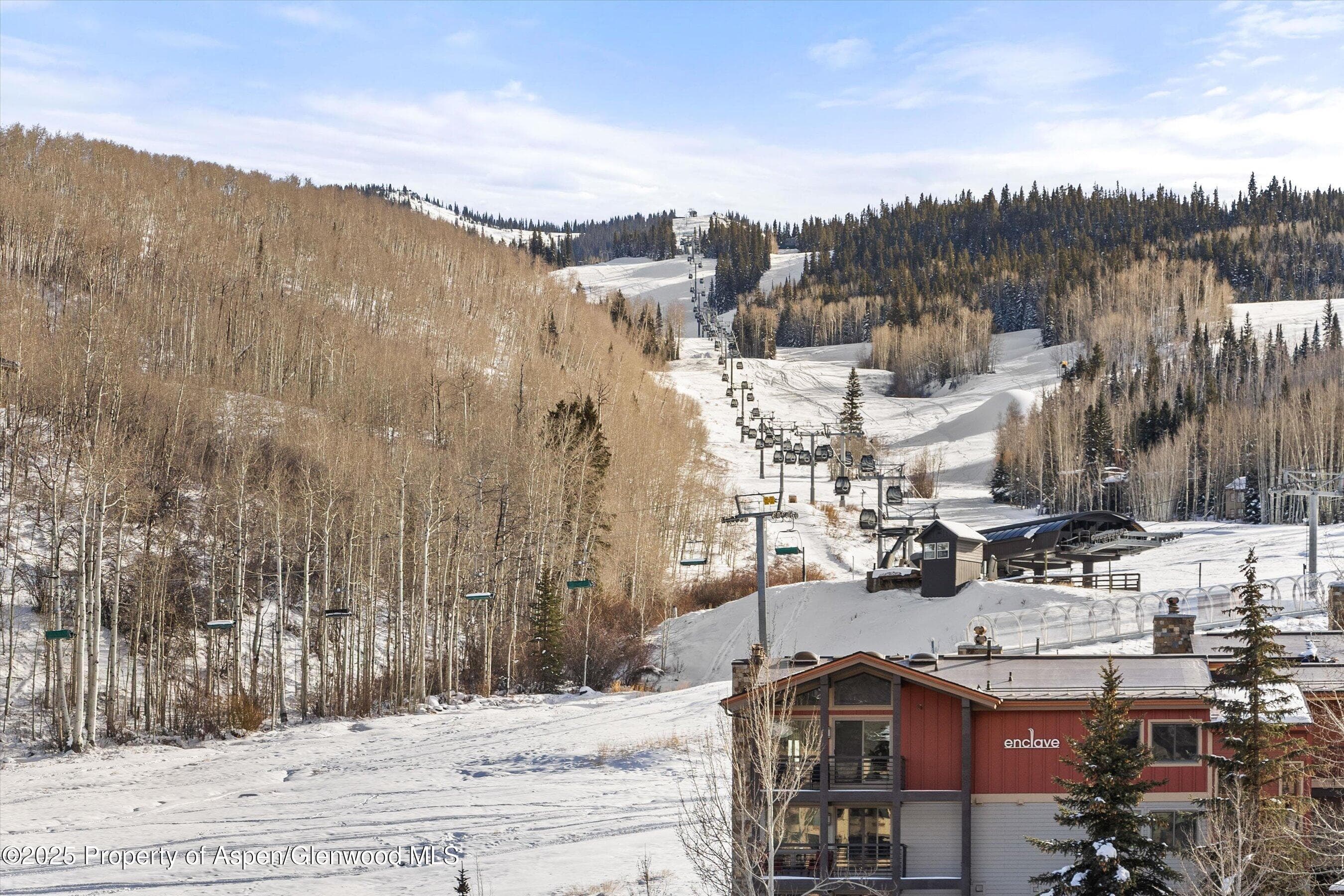 119 Wood Road 403, Snowmass Village, CO 81615 - Photo 10