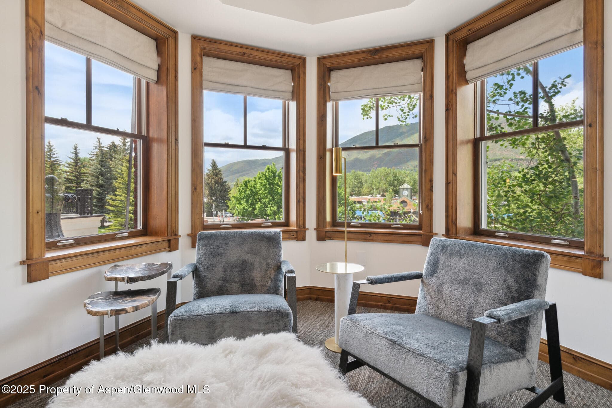 415 E Dean St., Unit 15, Week 33, Aspen, CO 81611 - Photo 14