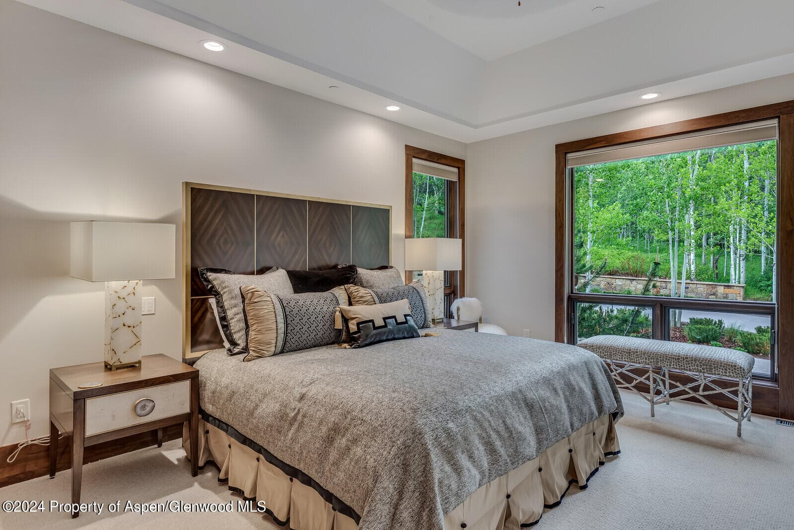 750 S Starwood Road, Aspen, CO 81611 - Photo 16