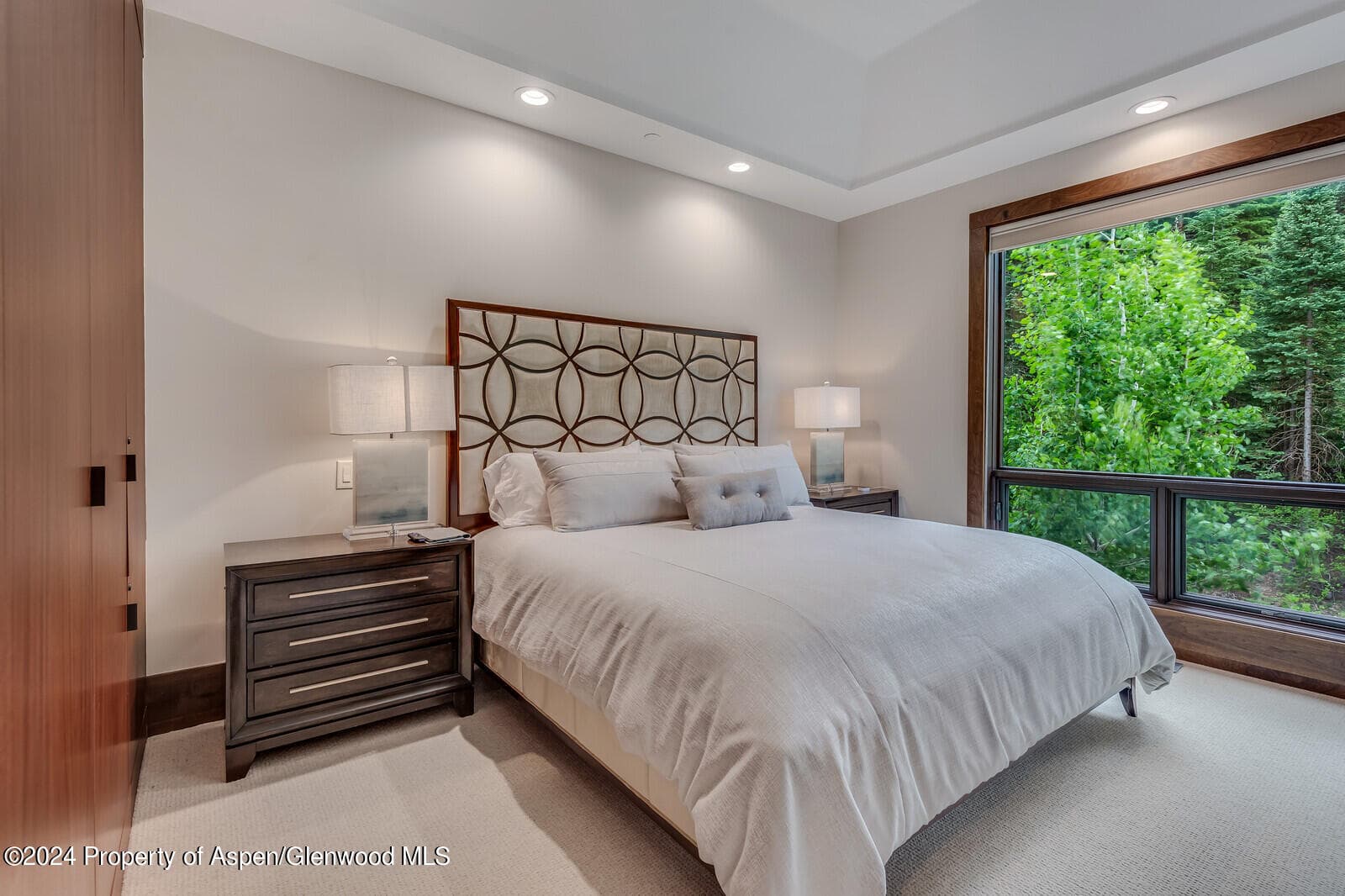 750 S Starwood Road, Aspen, CO 81611 - Photo 19
