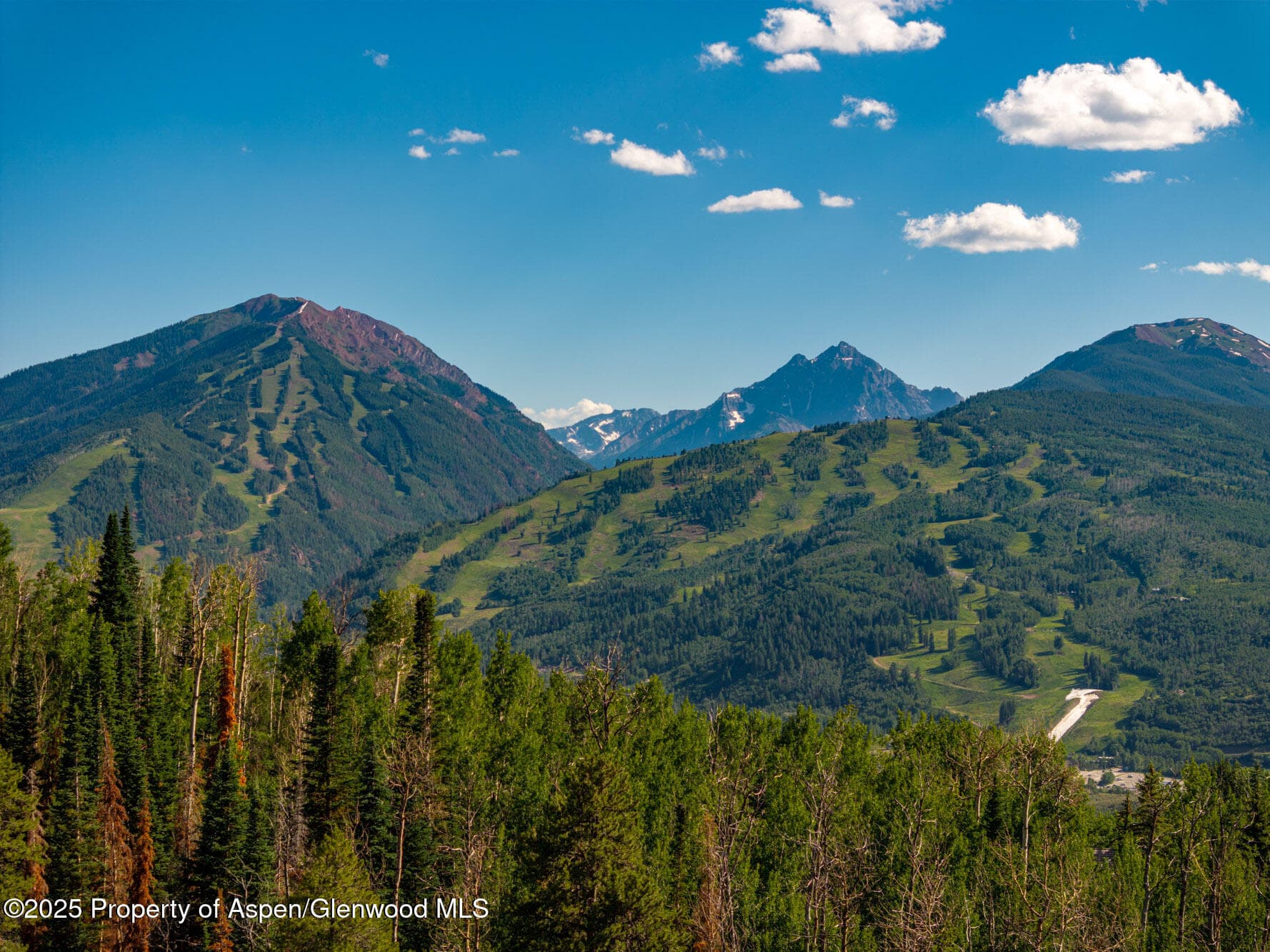 750 S Starwood Road, Aspen, CO 81611 - Photo 38