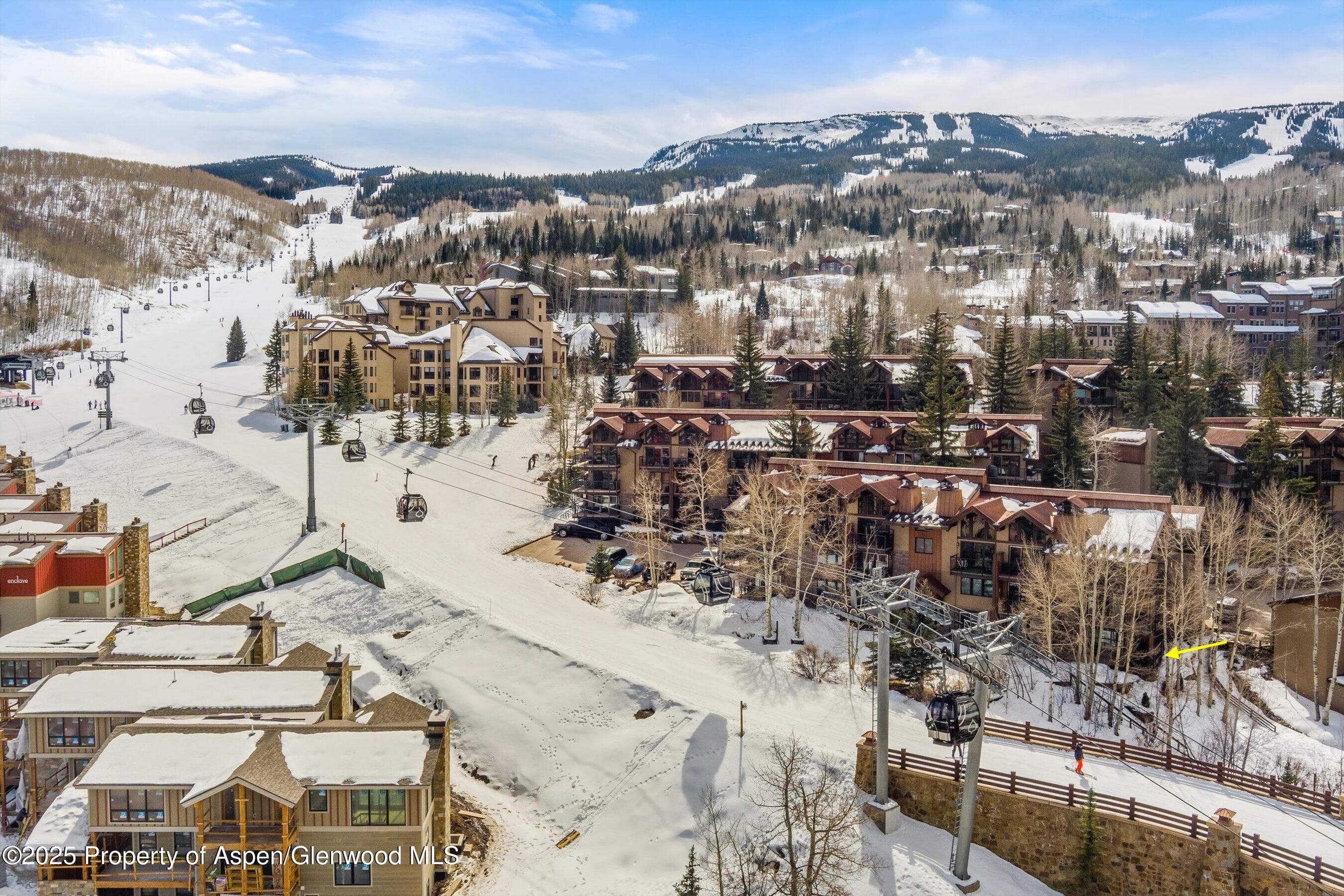 400 WOOD Road 1118, Snowmass Village, CO 81615 - Photo 10