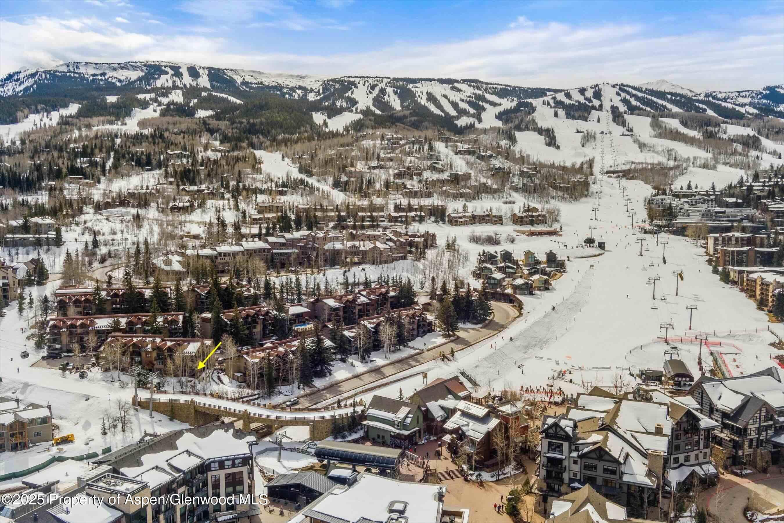 400 WOOD Road 1118, Snowmass Village, CO 81615 - Photo 12