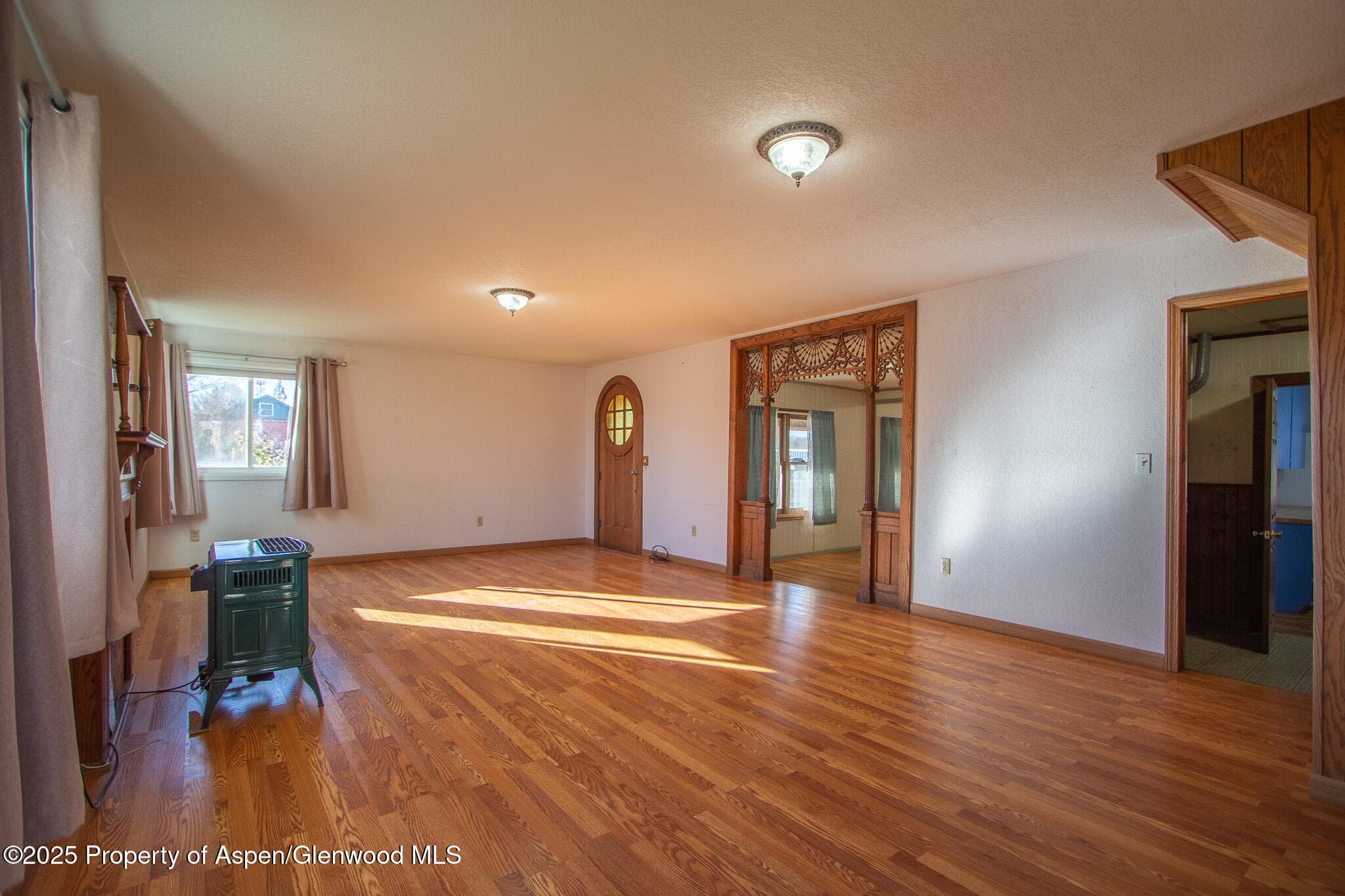517 Spring Creek Road, Montrose, CO 81403 - Photo 7