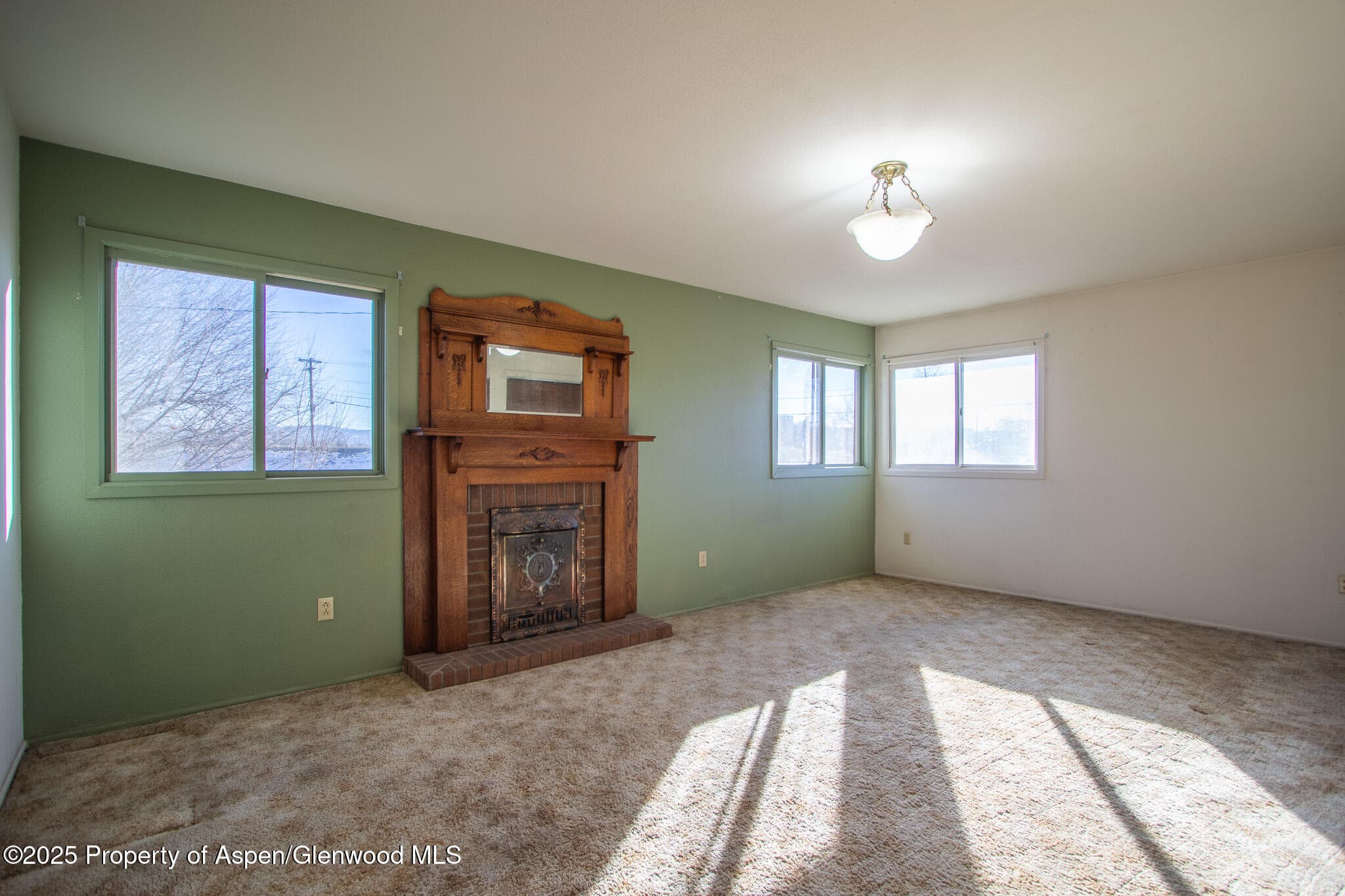 517 Spring Creek Road, Montrose, CO 81403 - Photo 15