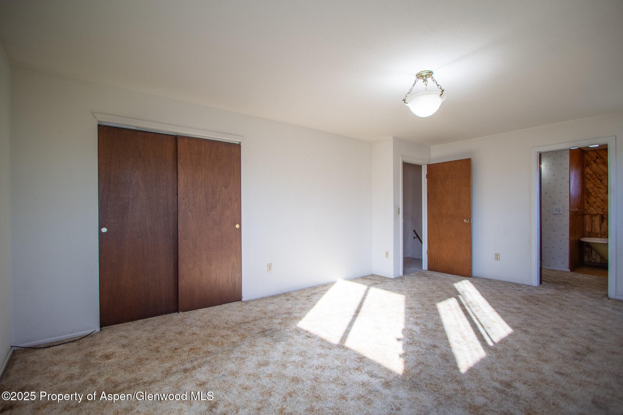 517 Spring Creek Road, Montrose, CO 81403 - Photo 16