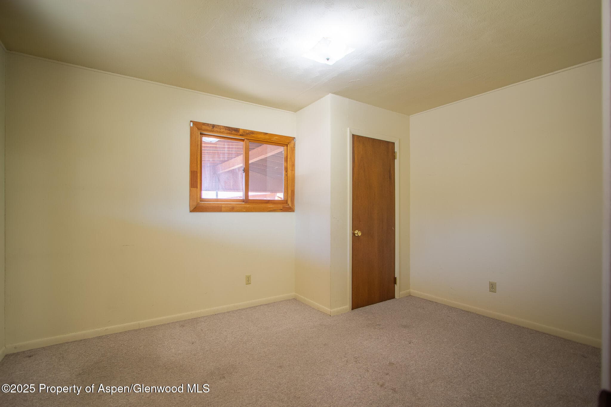 517 Spring Creek Road, Montrose, CO 81403 - Photo 18