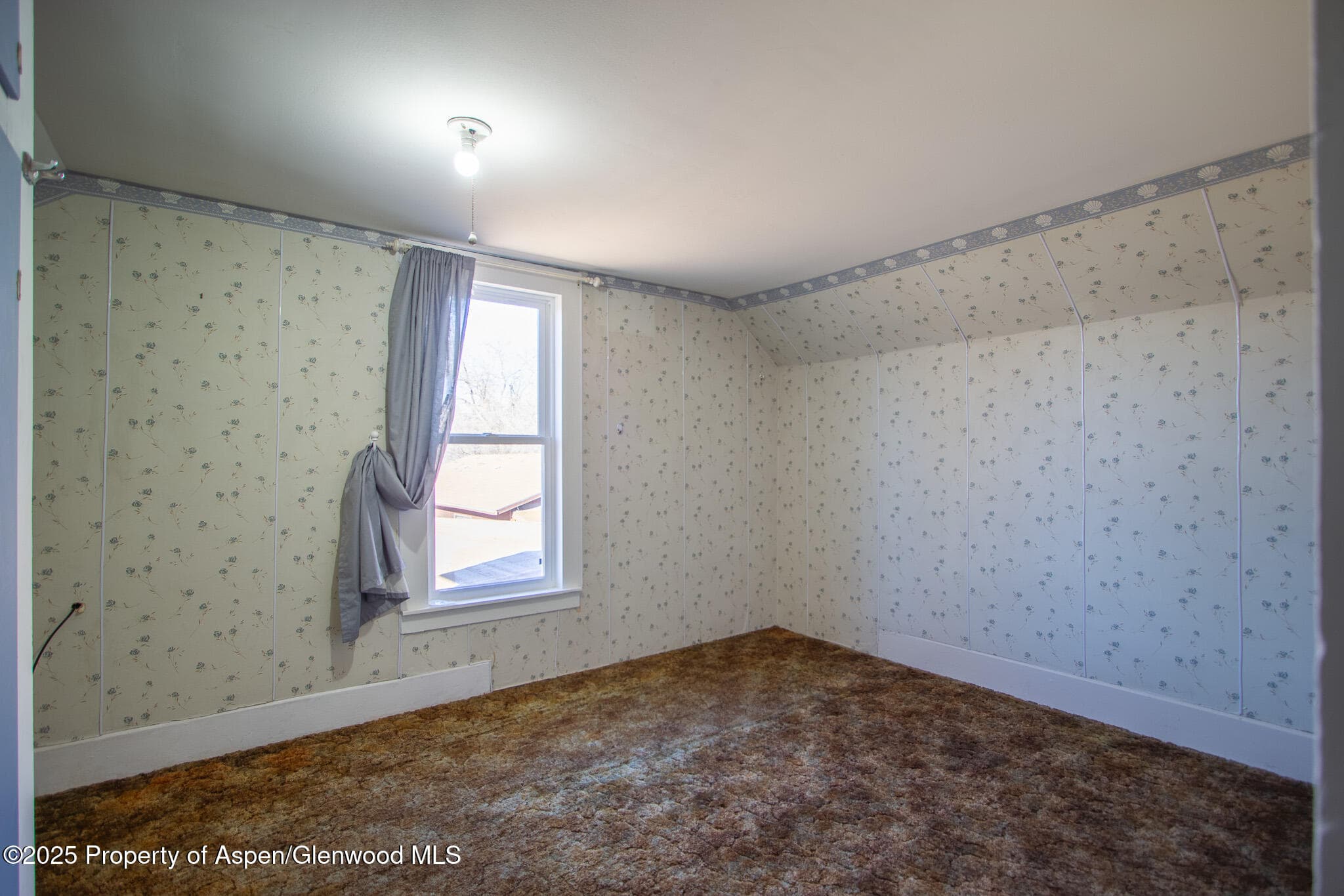 517 Spring Creek Road, Montrose, CO 81403 - Photo 19