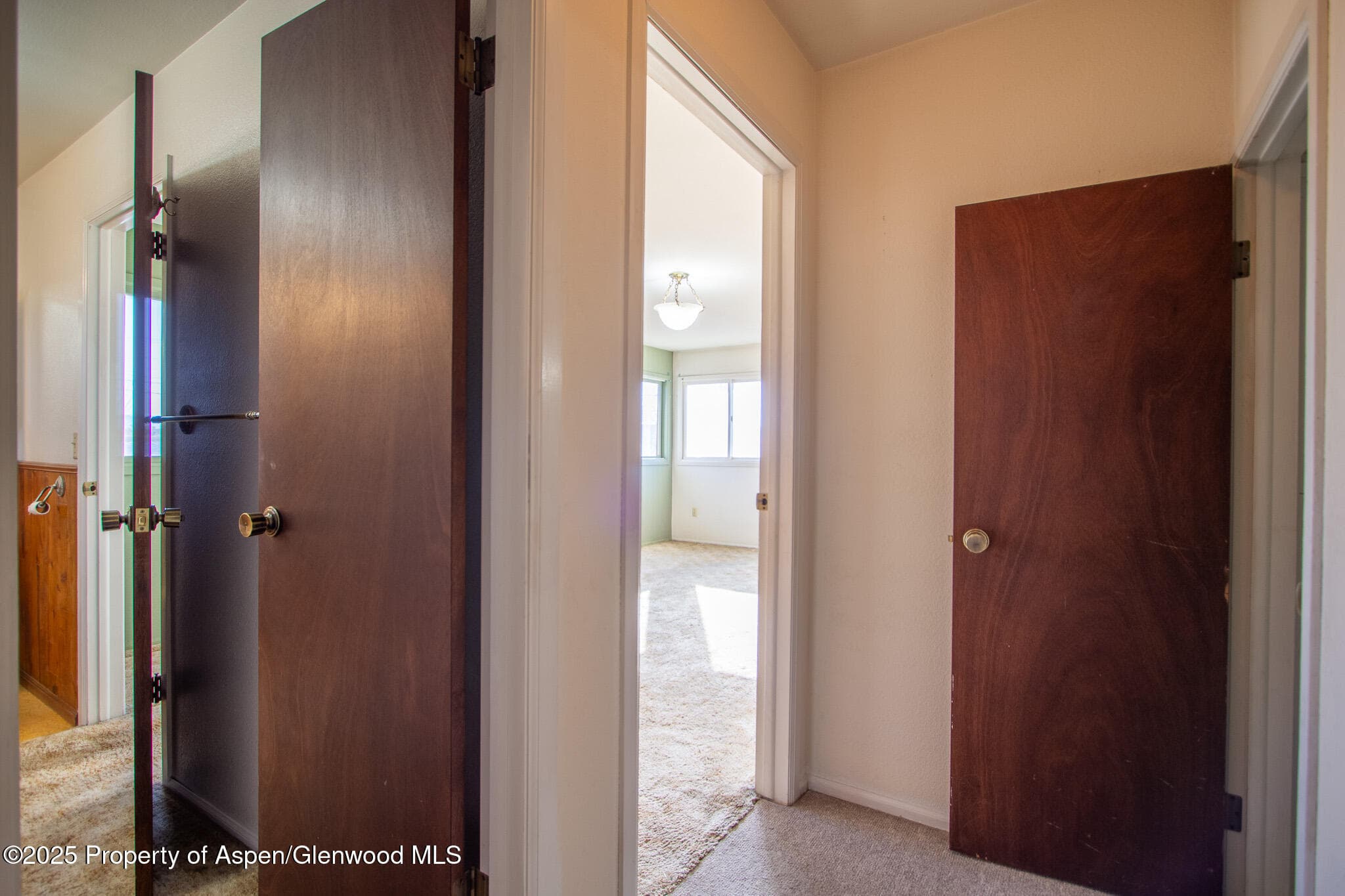 517 Spring Creek Road, Montrose, CO 81403 - Photo 20