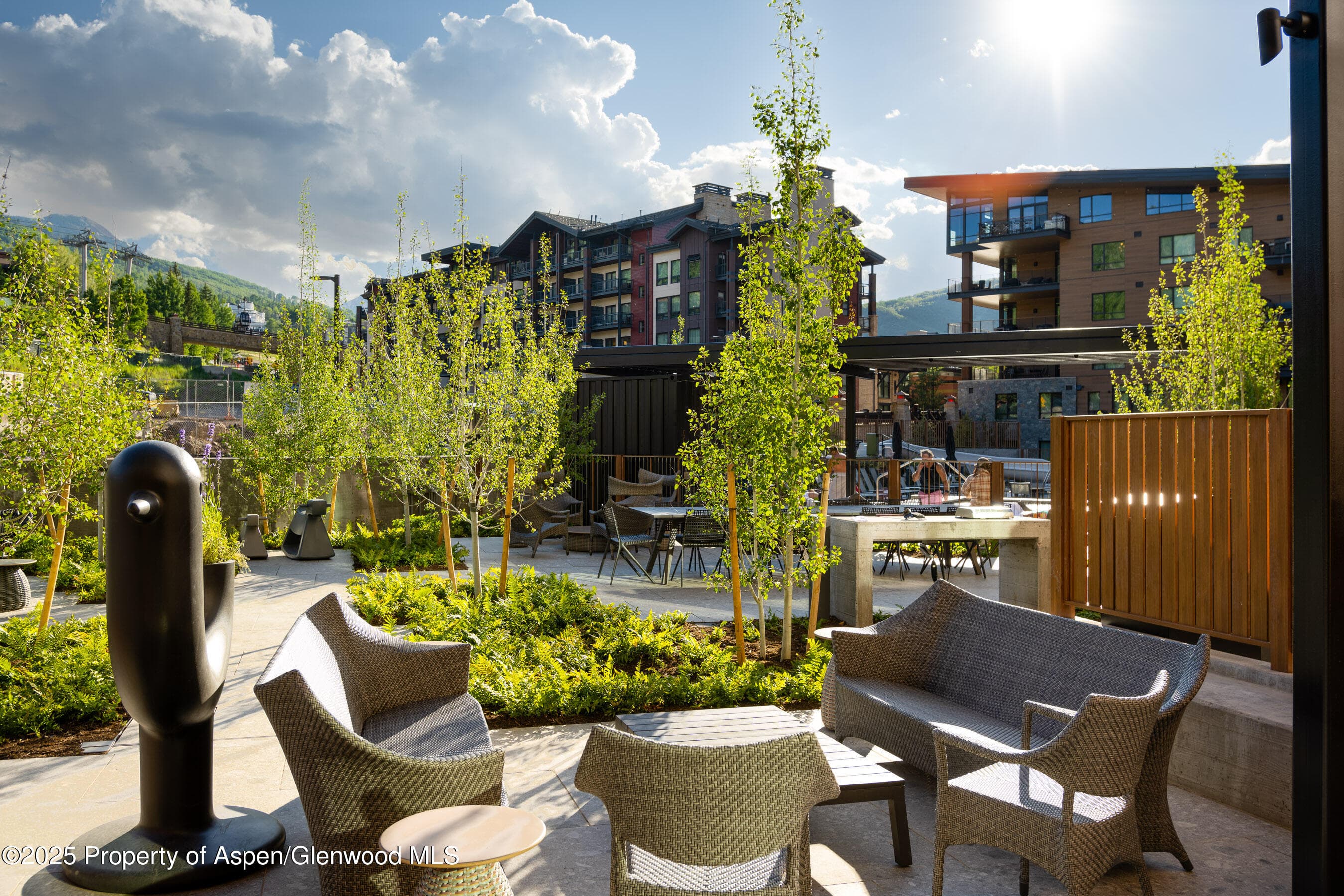119 Wood Road 307, Snowmass Village, CO 81615 - Photo 28