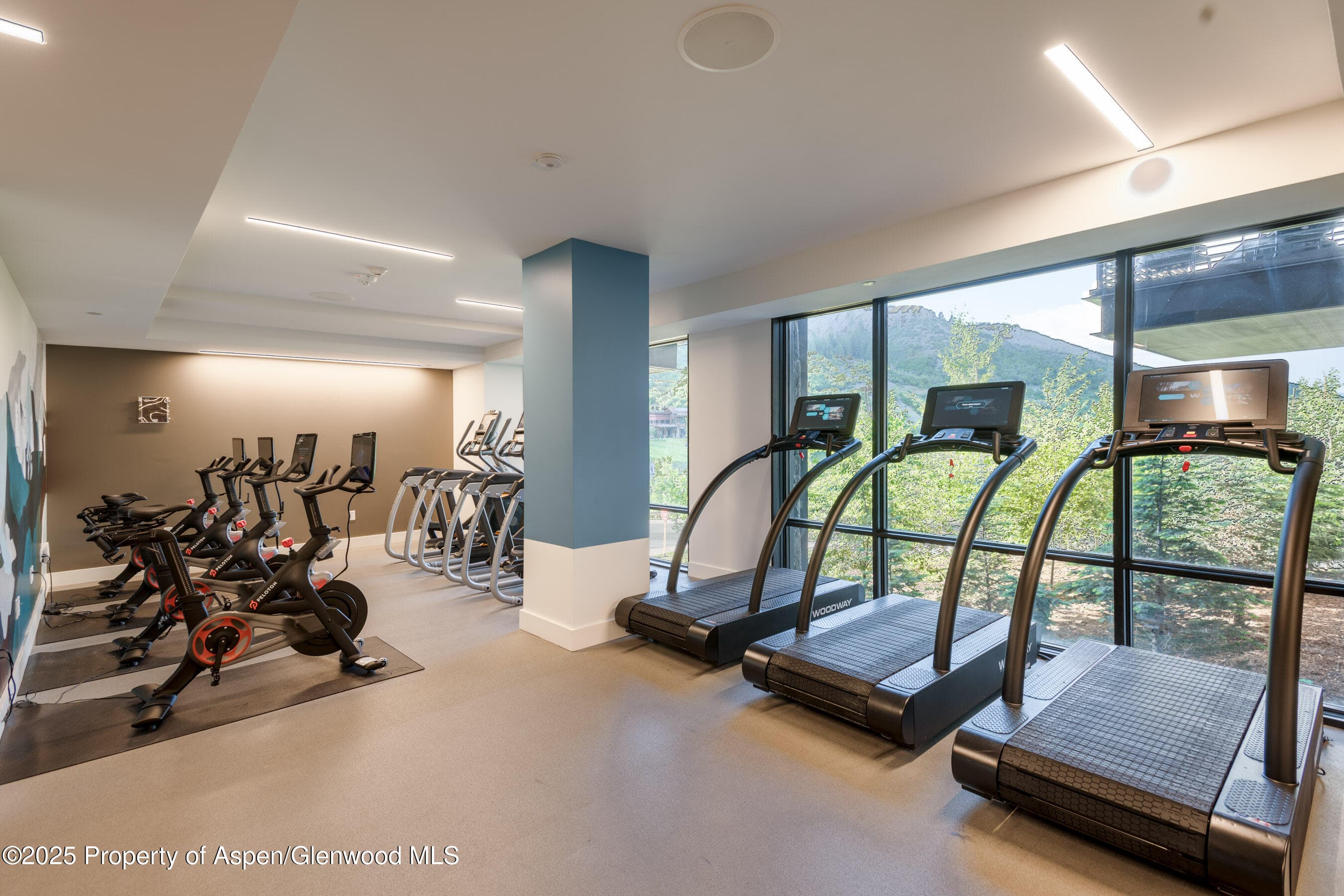 119 Wood Road 307, Snowmass Village, CO 81615 - Photo 32