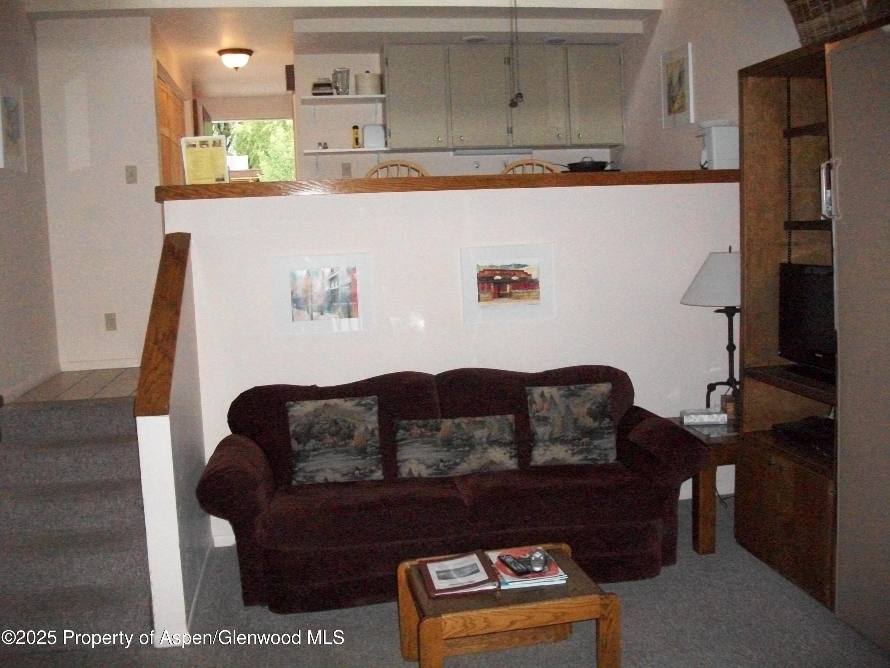 232 W Hyman Avenue #11 (wks. 4,8,39), Aspen, CO 81611 - Photo 4