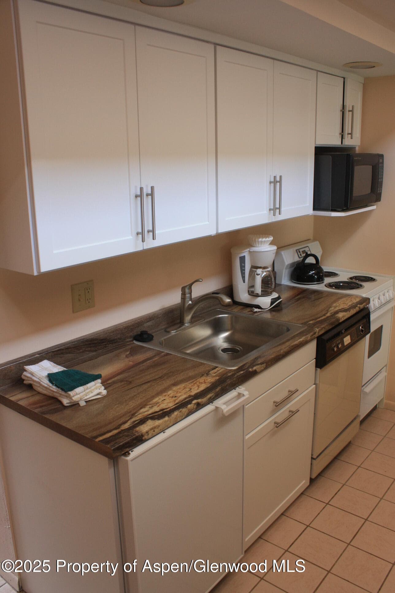 232 W Hyman Avenue #11 (wks. 4,8,39), Aspen, CO 81611 - Photo 6