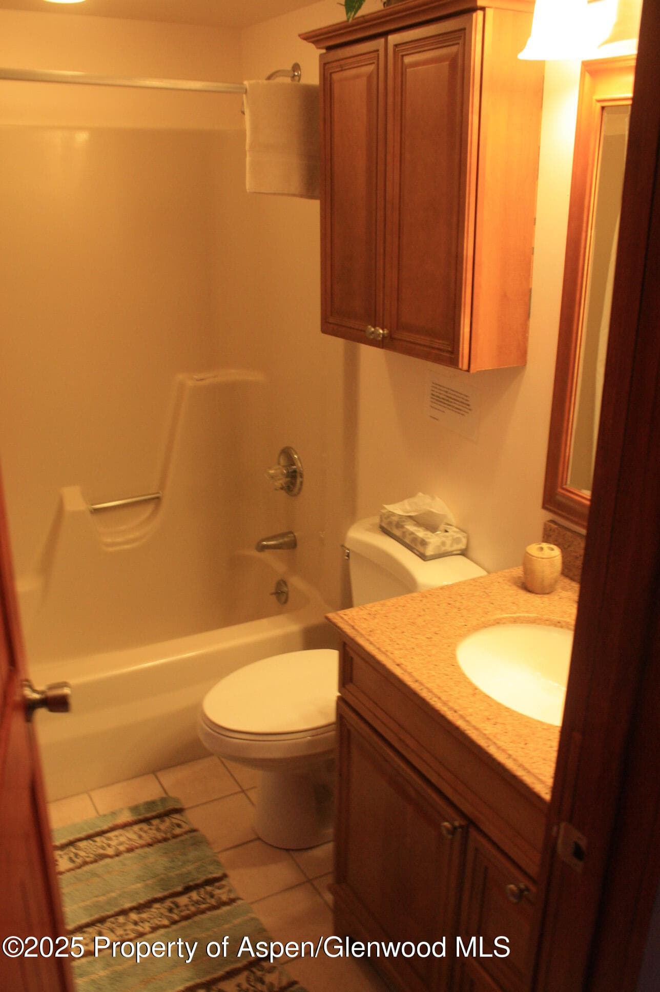 232 W Hyman Avenue #11 (wks. 4,8,39), Aspen, CO 81611 - Photo 8