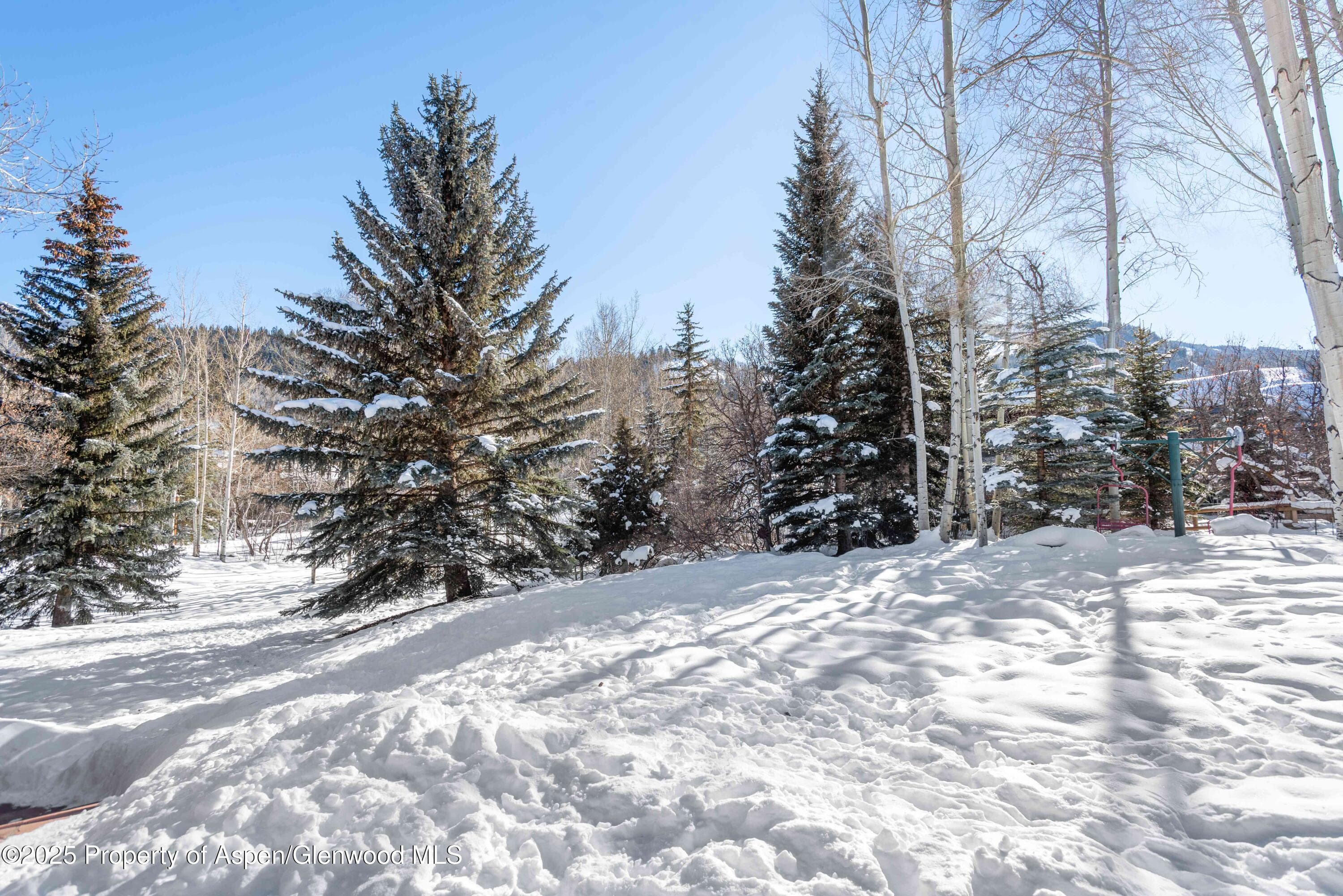 75 Glen Garry Drive, Aspen, CO 81611 - Photo 8