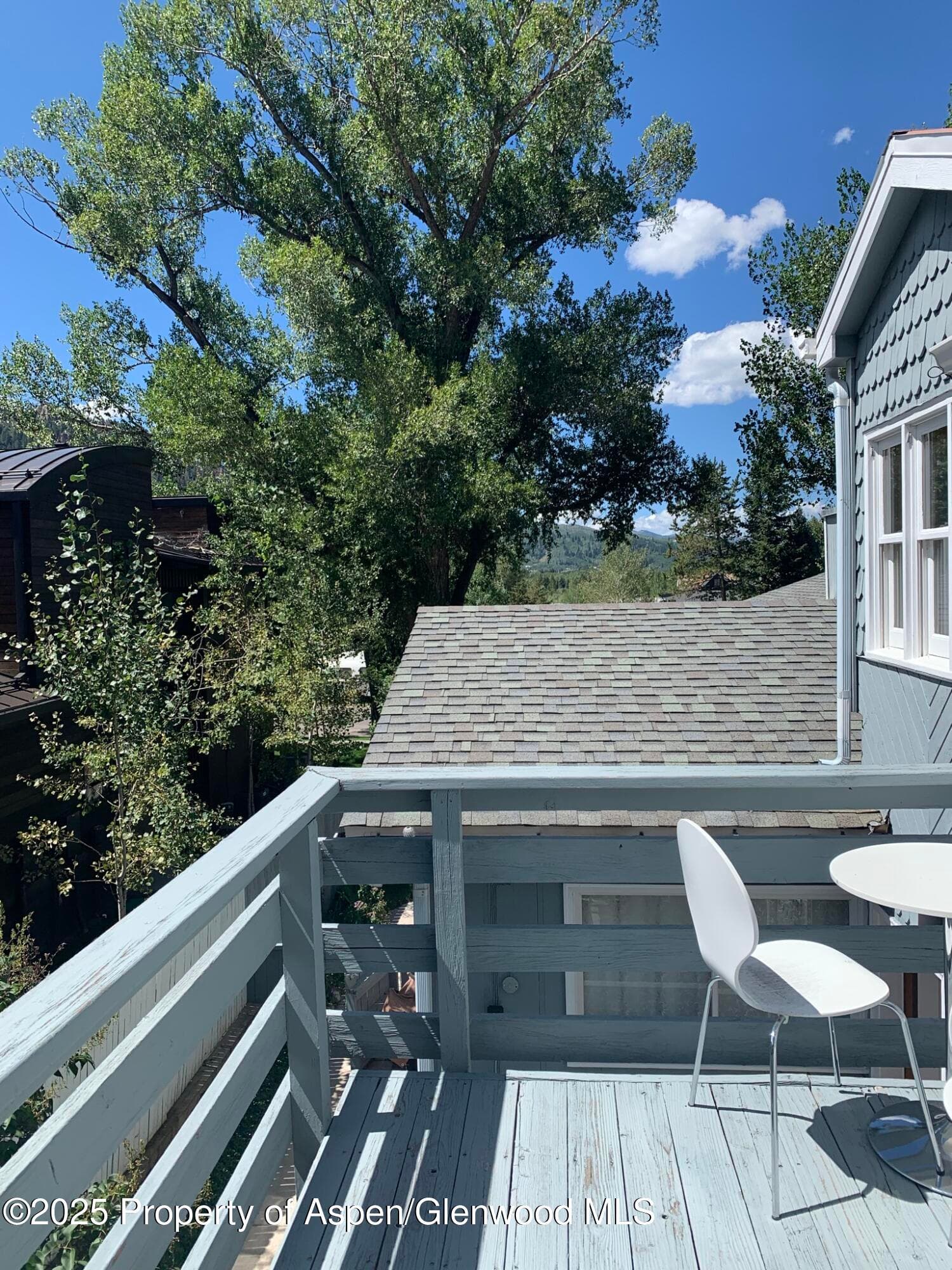534 & 536 Spruce Street, Aspen, CO 81611 - Photo 11