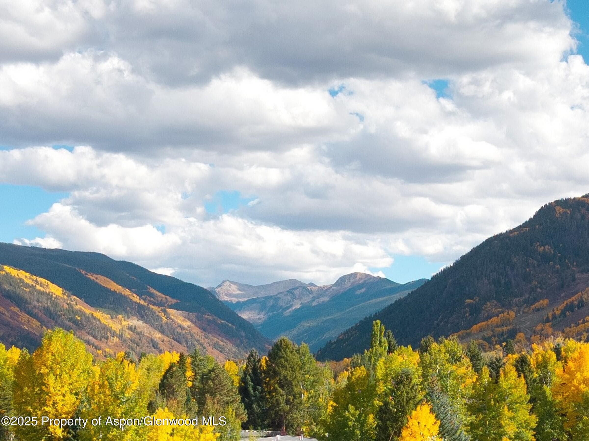 1050 Cemetery Lane, Aspen, CO 81611 - Photo 3