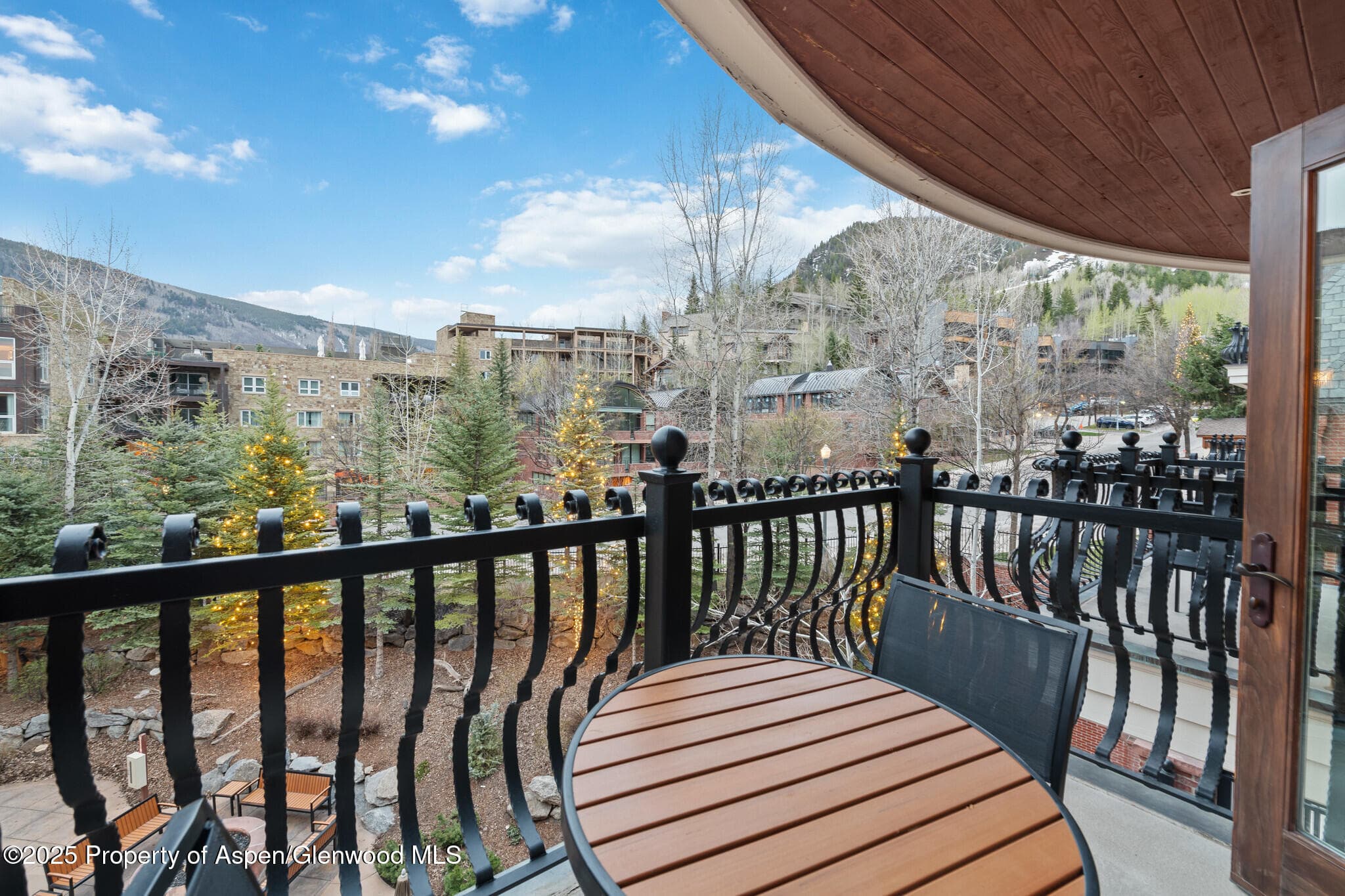 415 E Dean St, #35, Week 35, Aspen, CO 81611 - Photo 11
