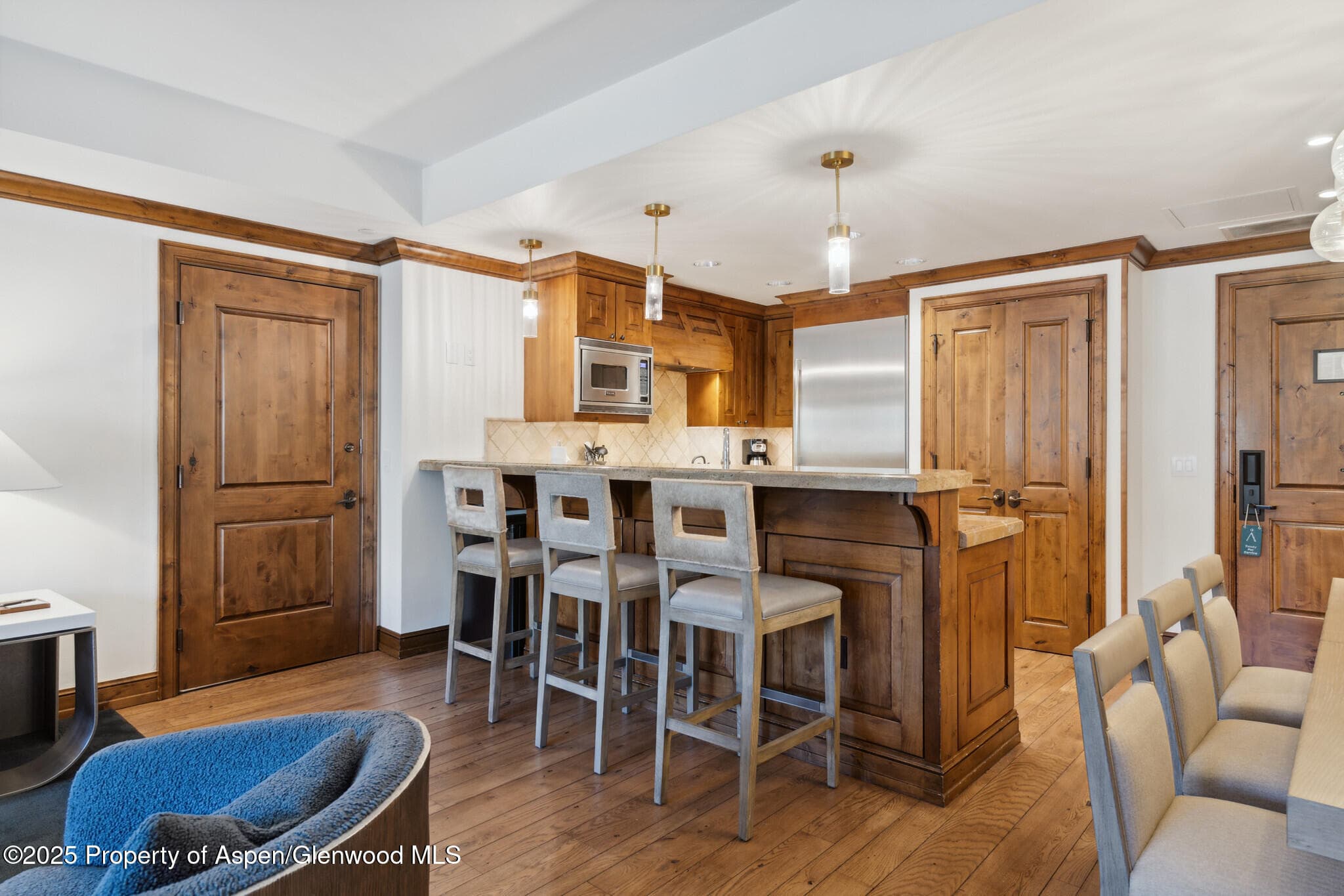 415 E Dean St, #35, Week 35, Aspen, CO 81611 - Photo 6