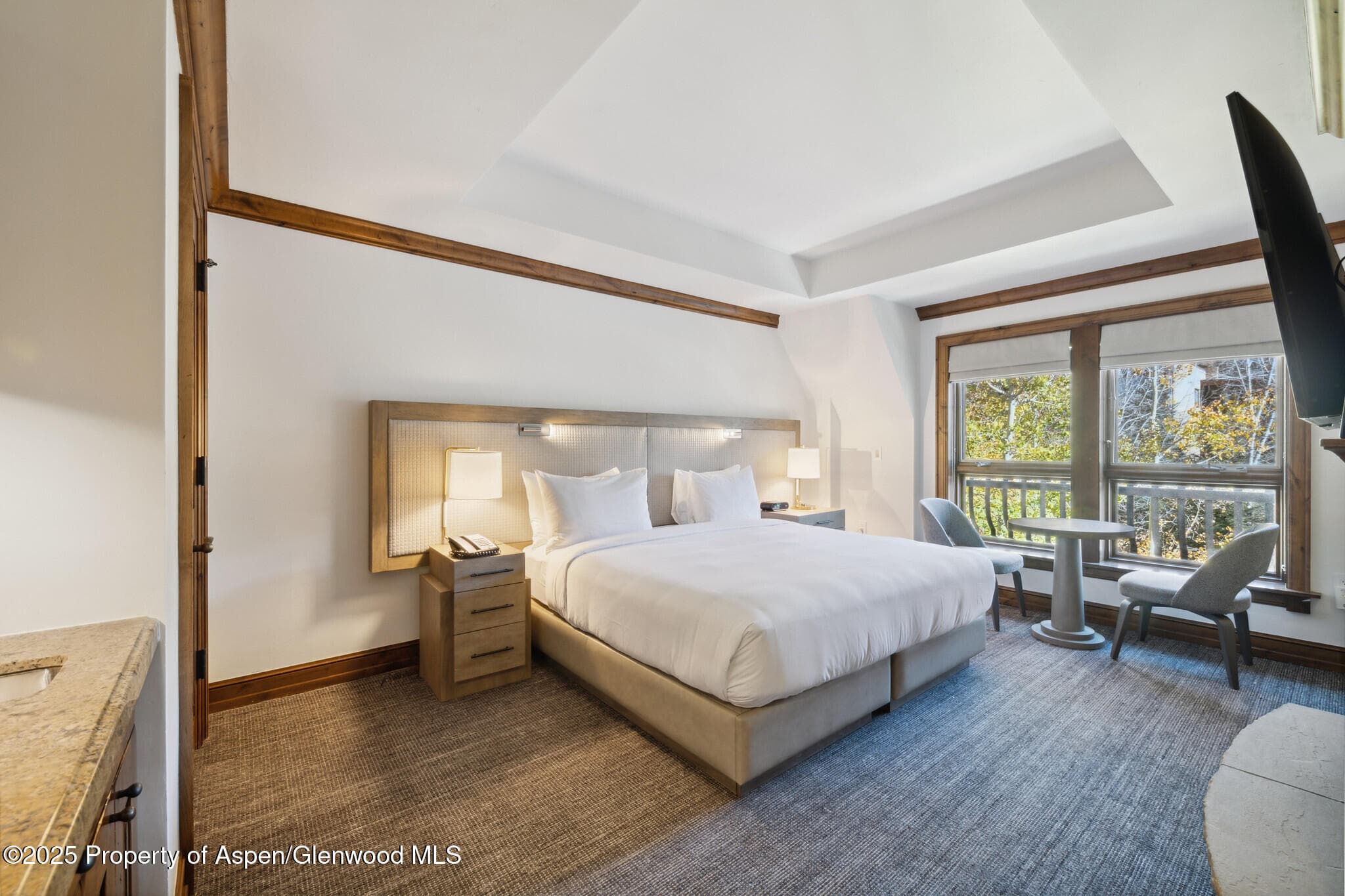415 E Dean St, #35, Week 35, Aspen, CO 81611 - Photo 16