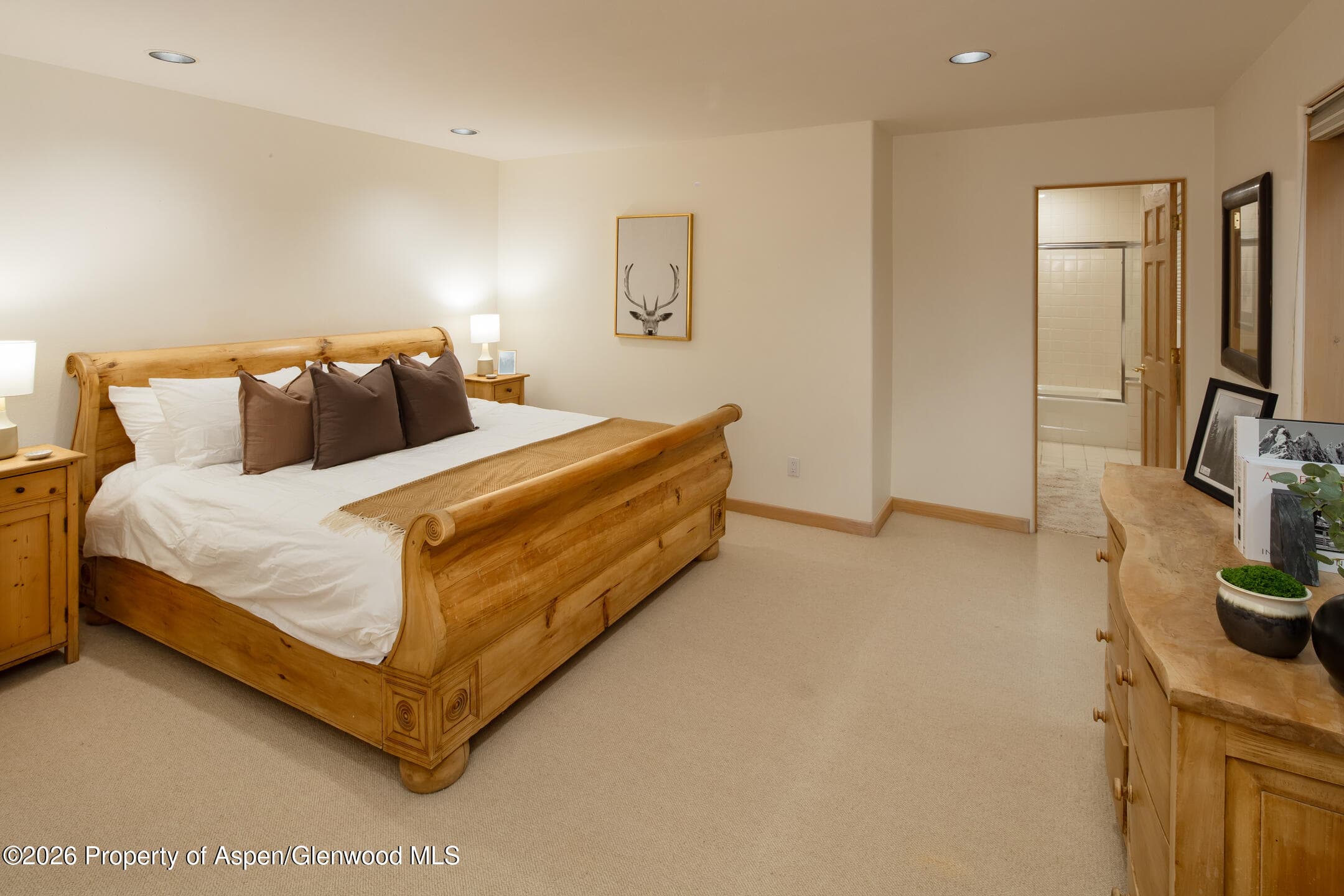 333 W Hopkins Avenue, Aspen, CO 81611 - Photo 11