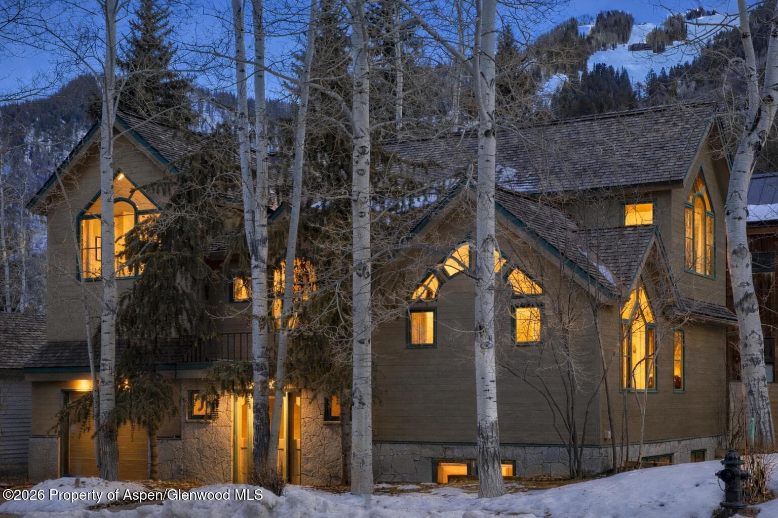 333 W Hopkins Avenue, Aspen, CO 81611 - Photo 18