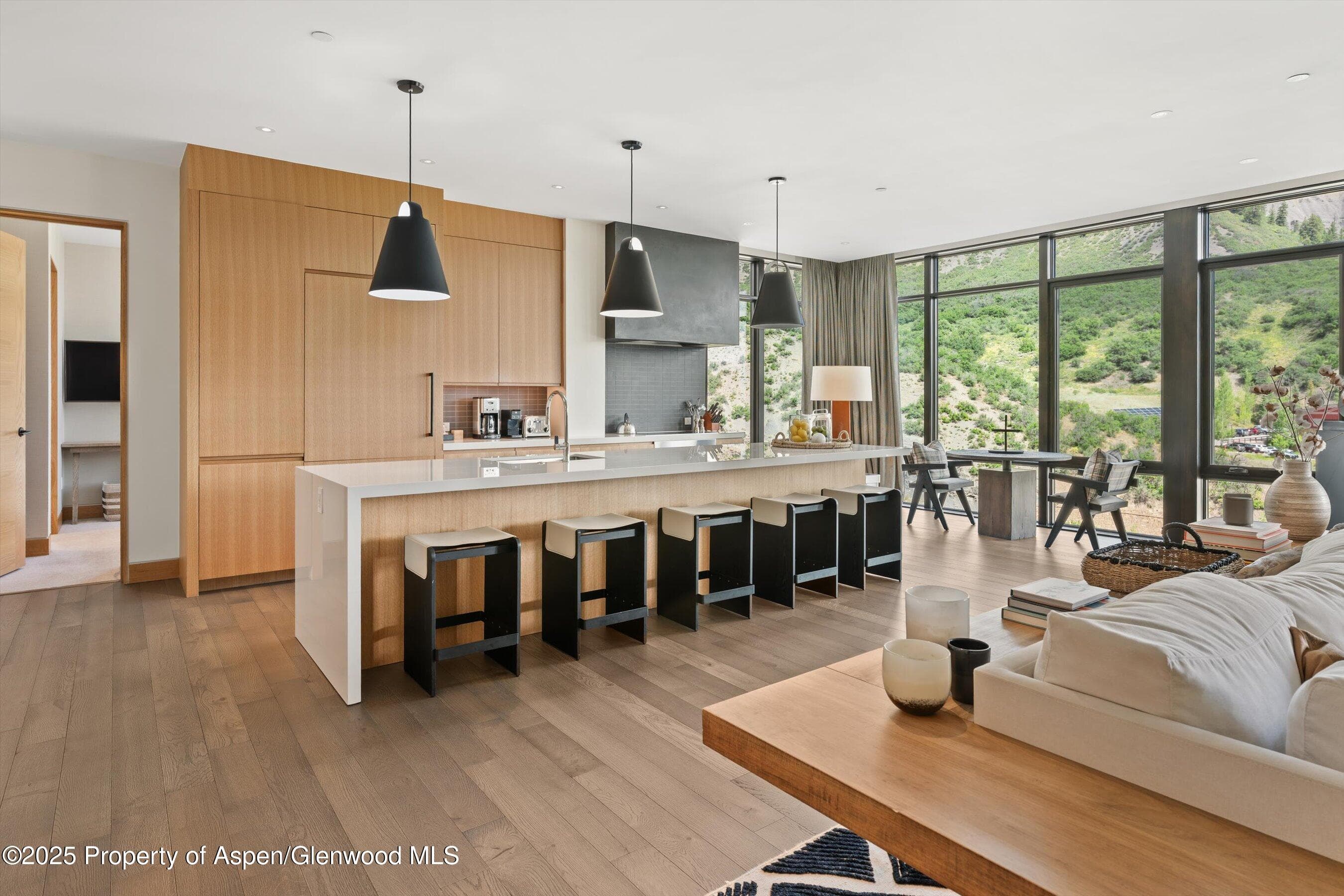 45 Wood Road 501, Snowmass Village, CO 81615 - Photo 13