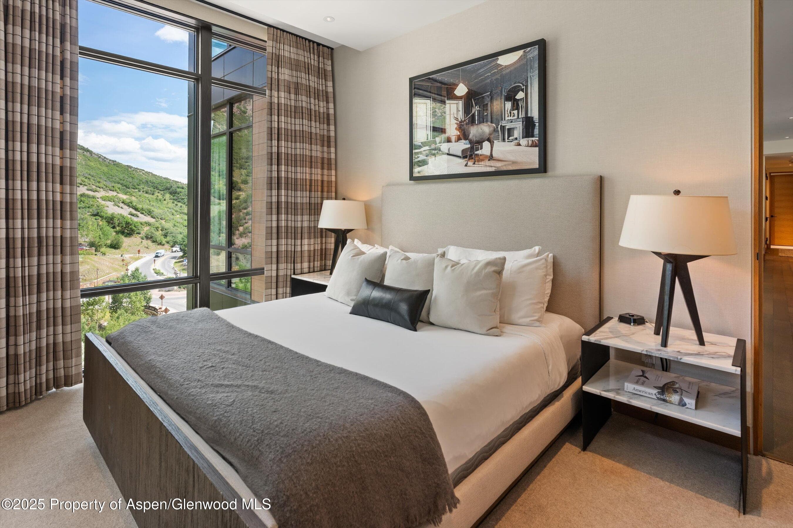 45 Wood Road 501, Snowmass Village, CO 81615 - Photo 24