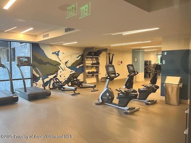 45 Wood Road 501, Snowmass Village, CO 81615 - Photo 36