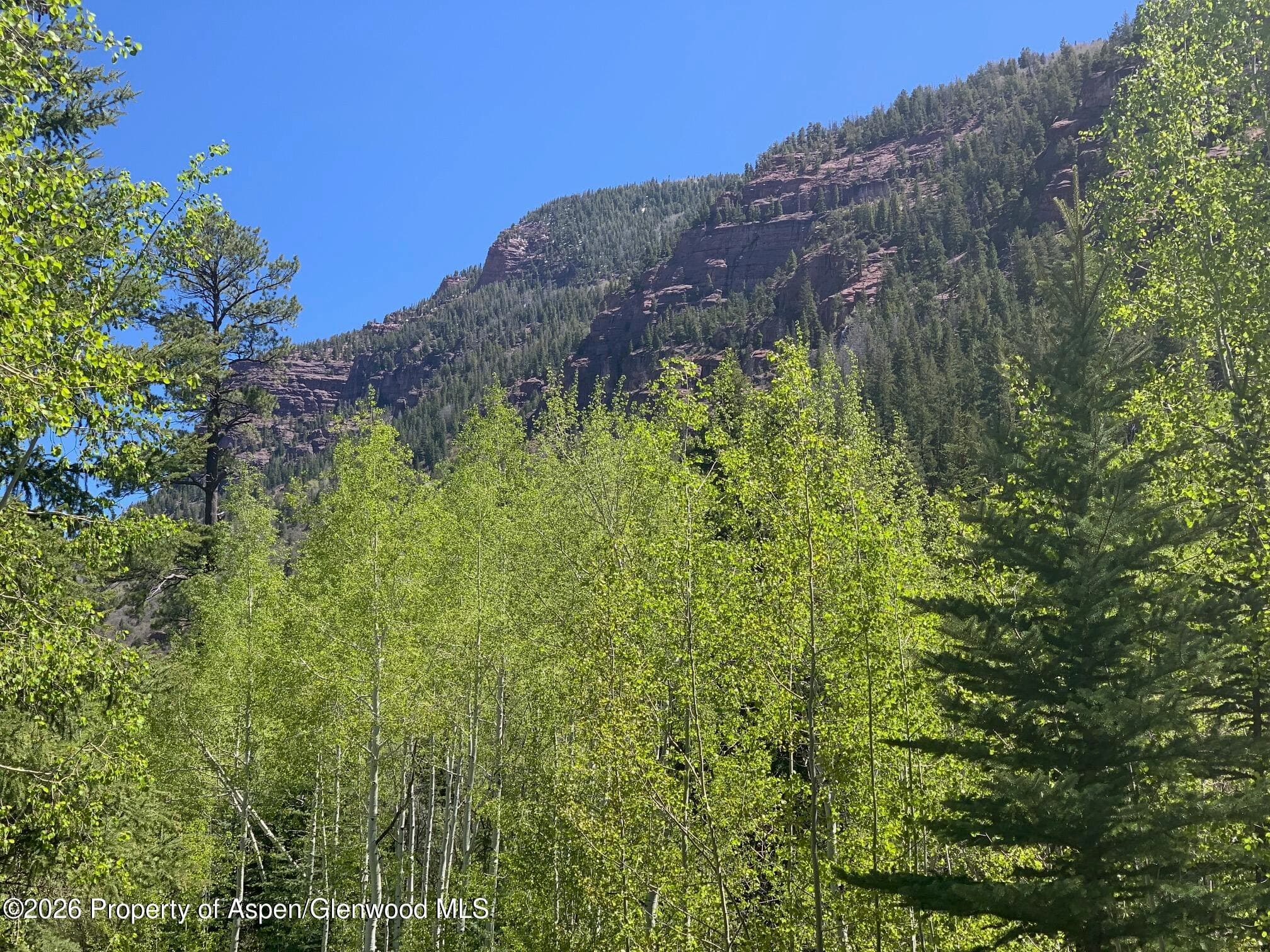 315 Fire House Road, Redstone, CO 81623 - Photo 8