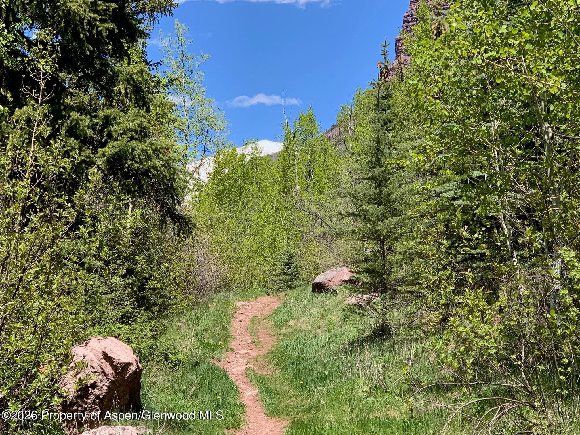 315 Fire House Road, Redstone, CO 81623 - Photo 9