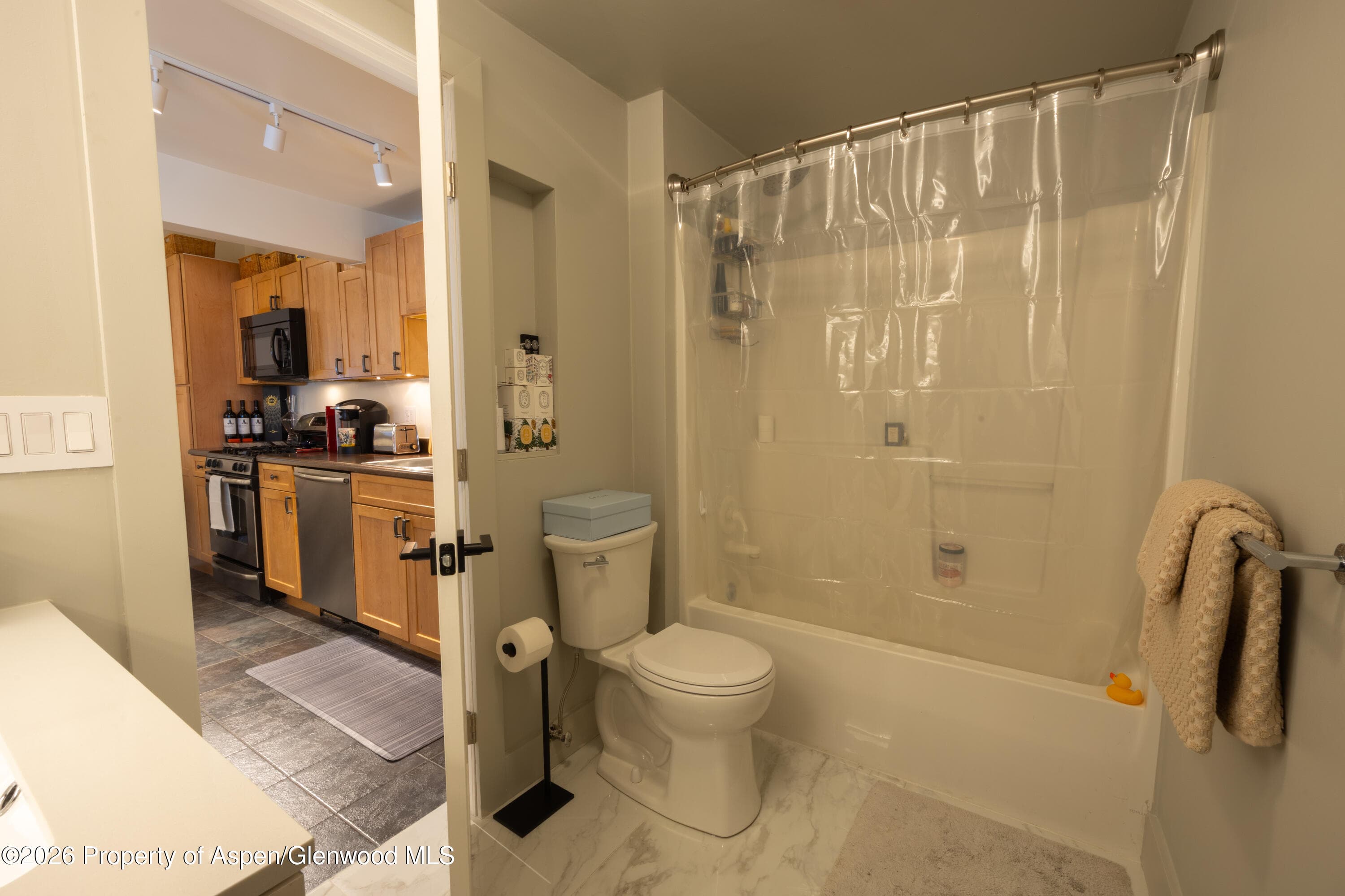 304 Waterview Drive, Snowmass, CO 81654 - Photo 9