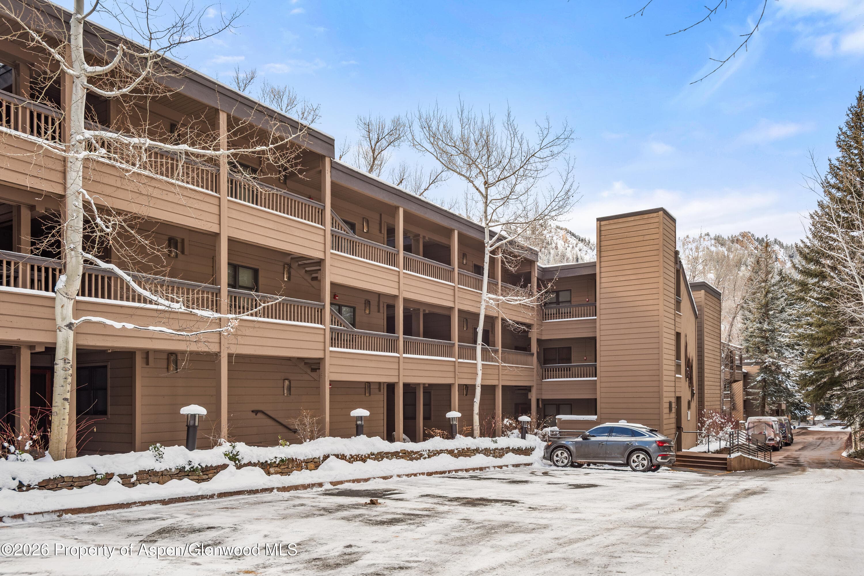 610 S West End Street D103, Aspen, CO 81611 - Photo 14