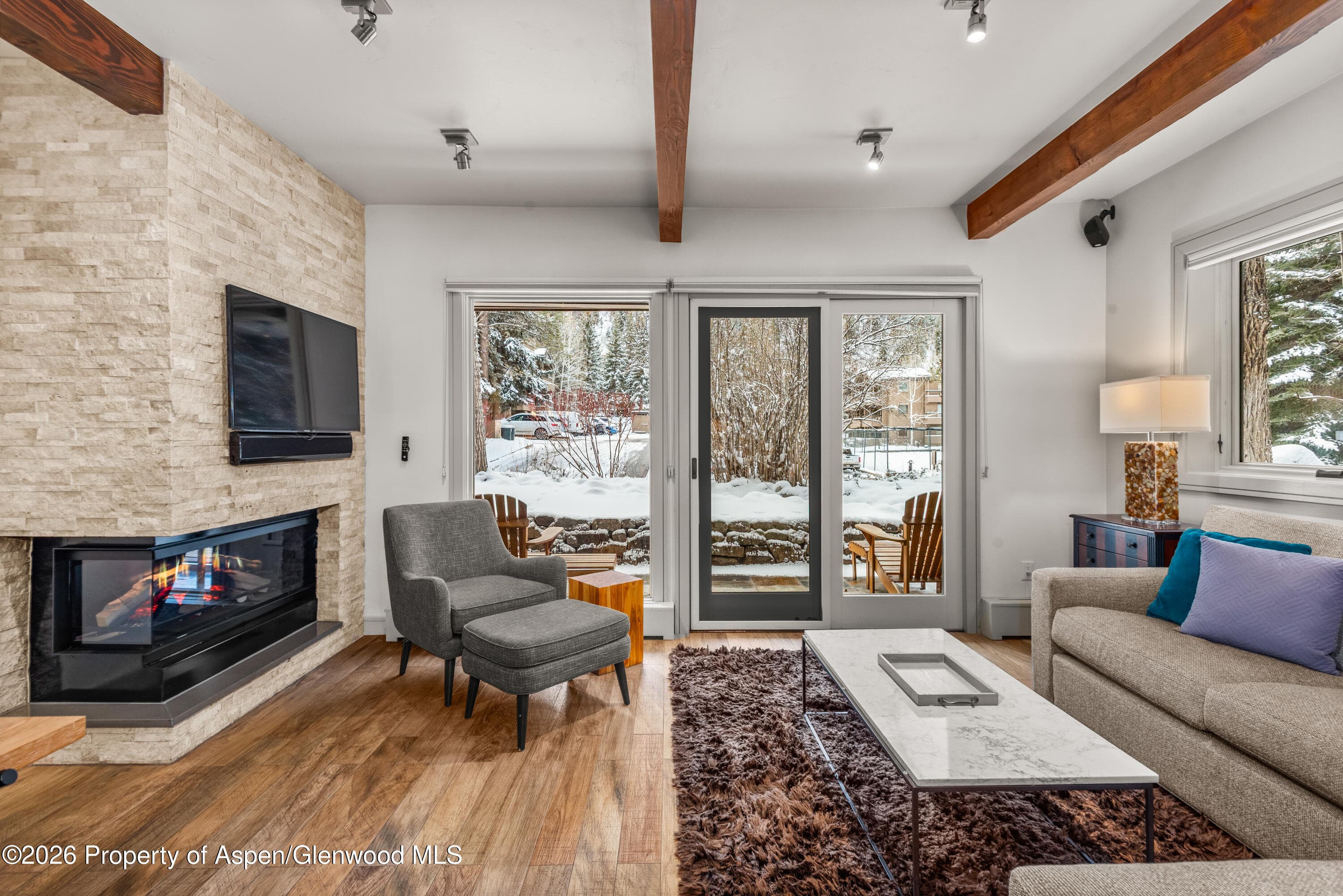 610 S West End Street D103, Aspen, CO 81611 - Photo 2