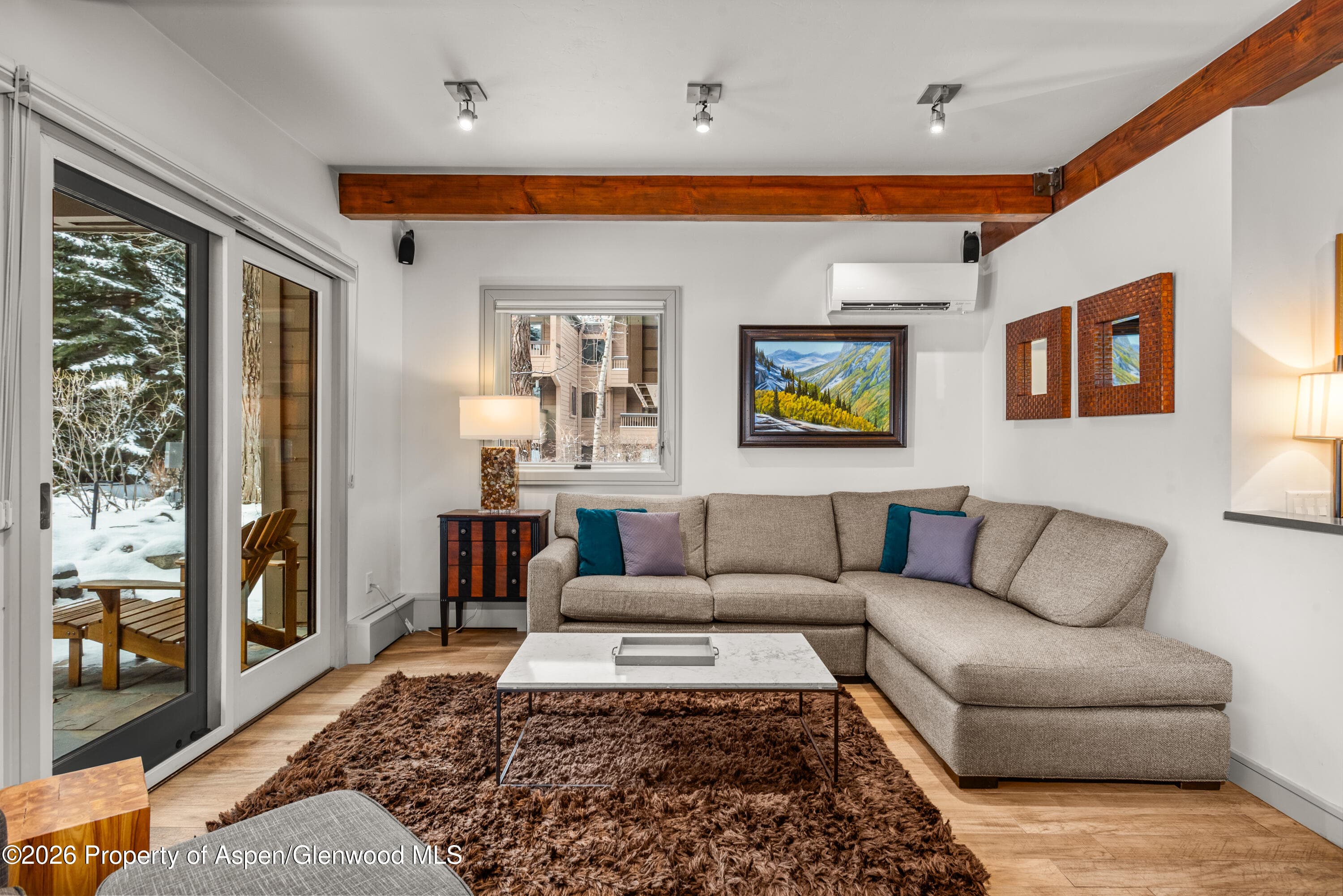 610 S West End Street D103, Aspen, CO 81611 - Photo 3
