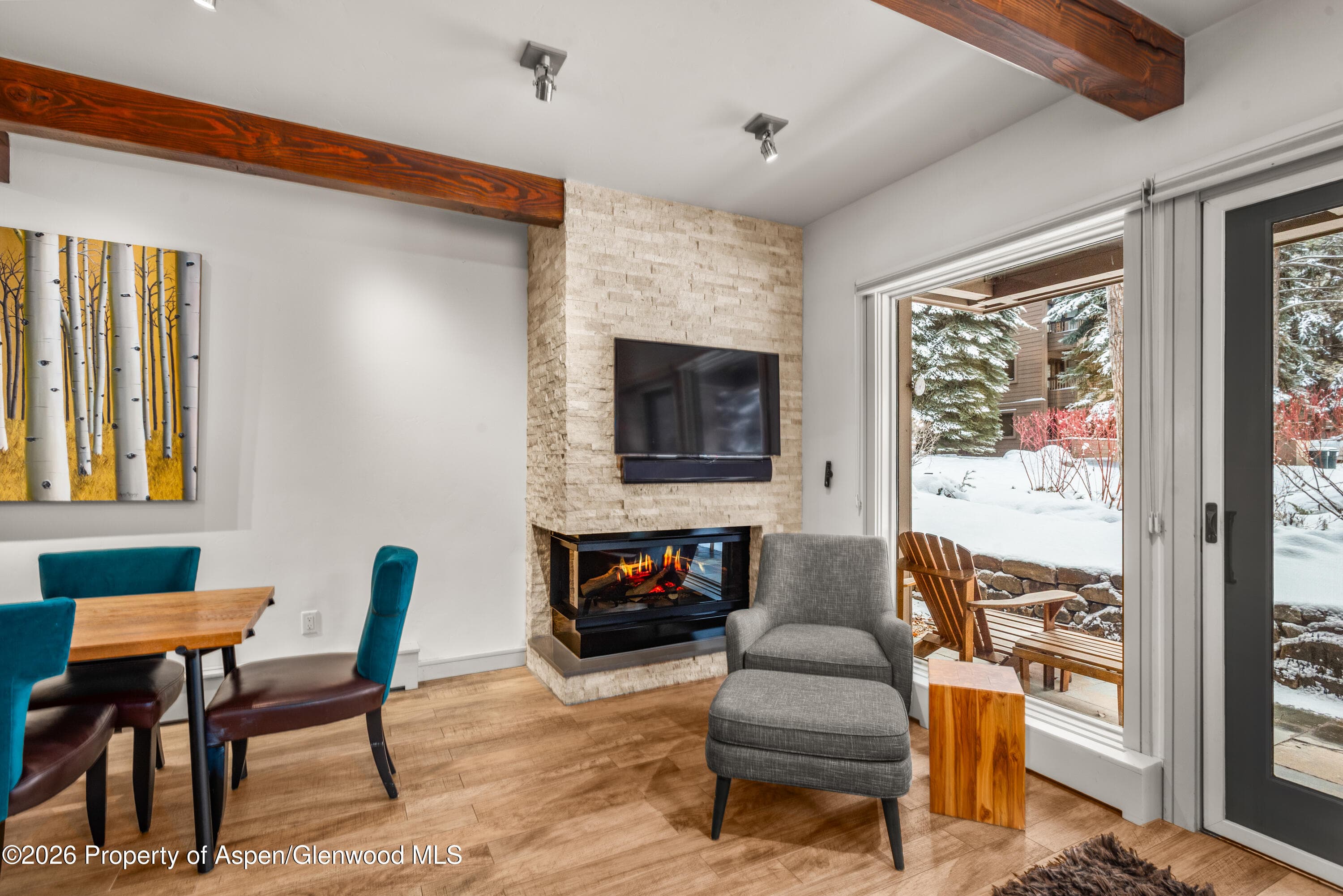 610 S West End Street D103, Aspen, CO 81611 - Photo 4