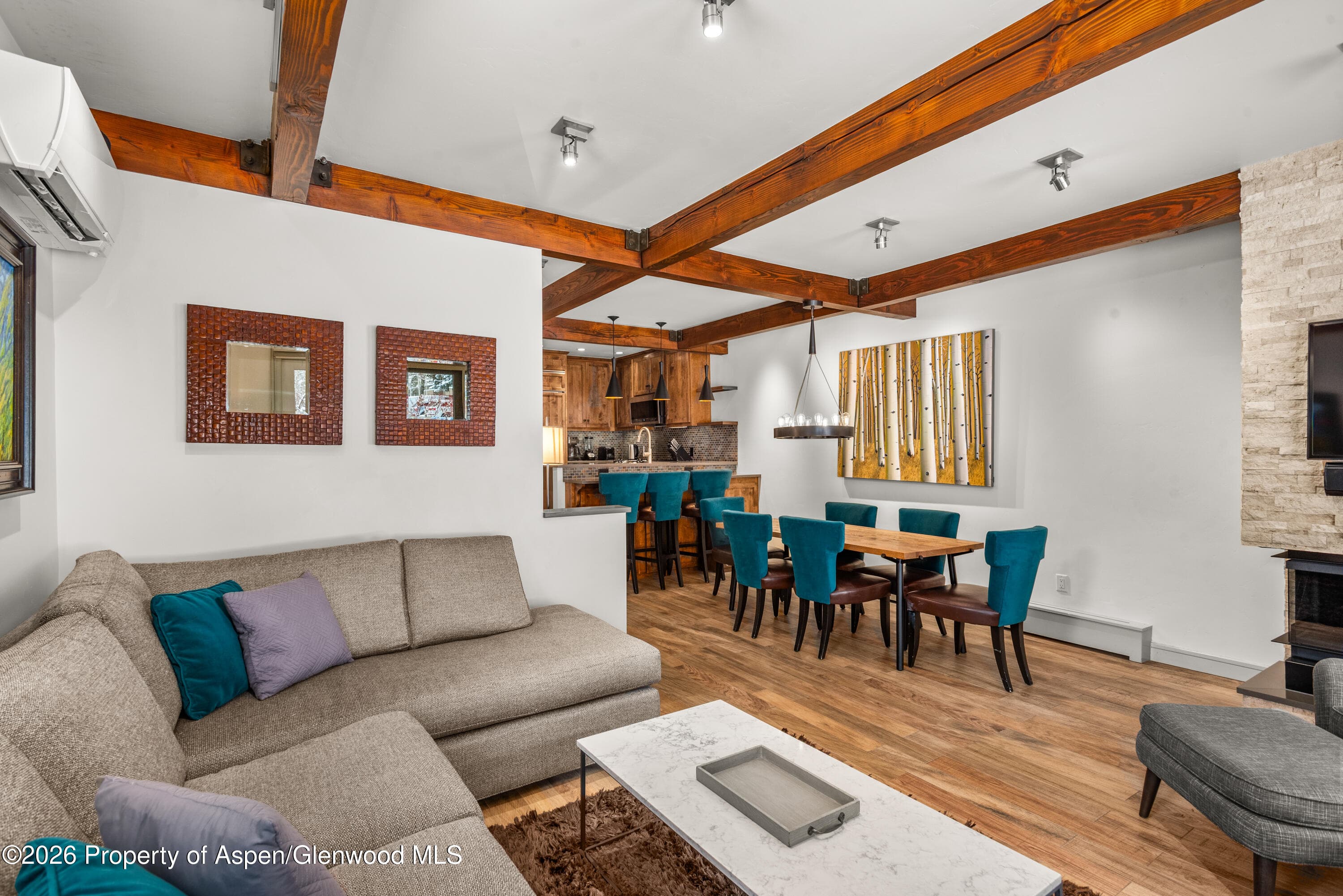 610 S West End Street D103, Aspen, CO 81611 - Photo 5