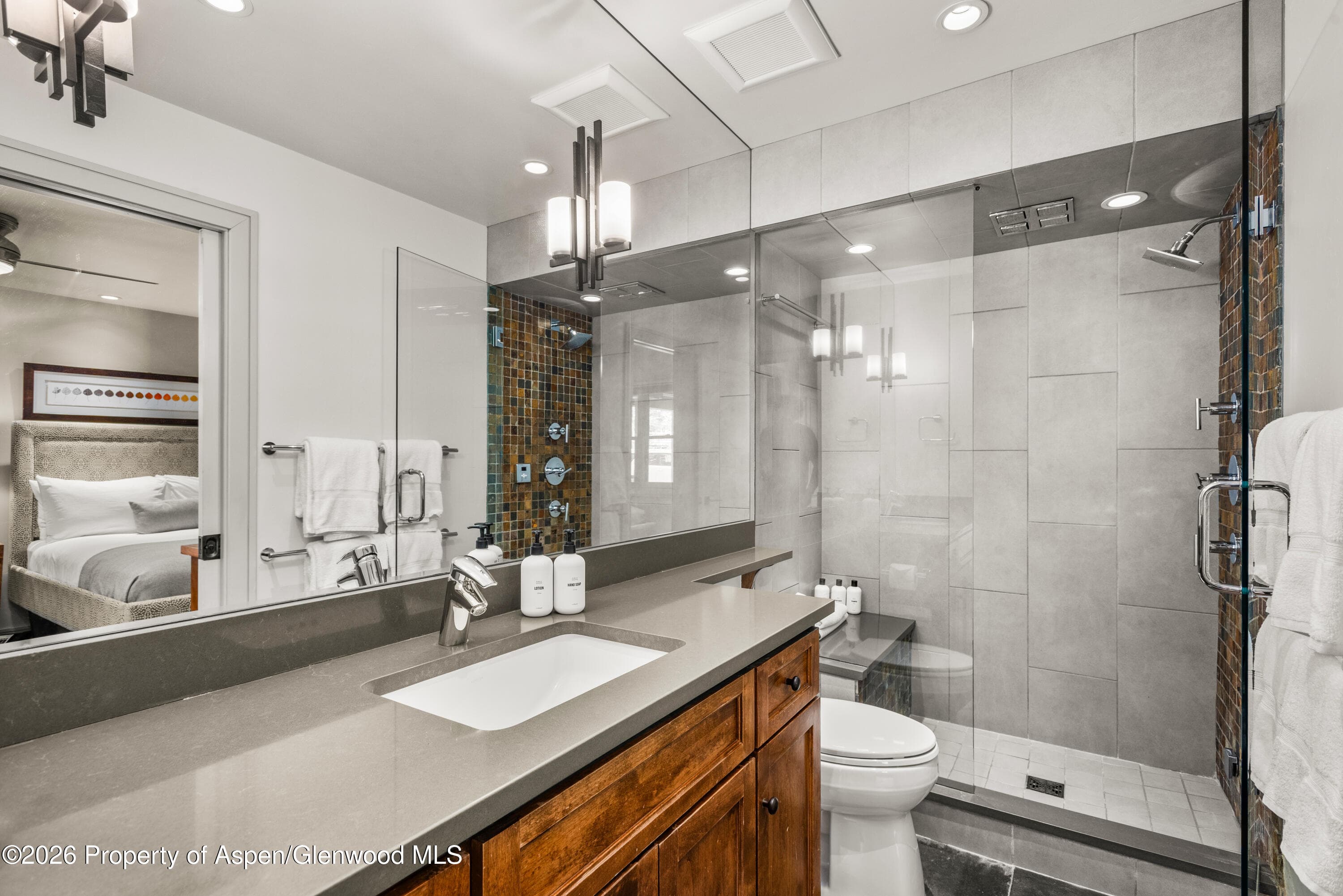 610 S West End Street D103, Aspen, CO 81611 - Photo 13