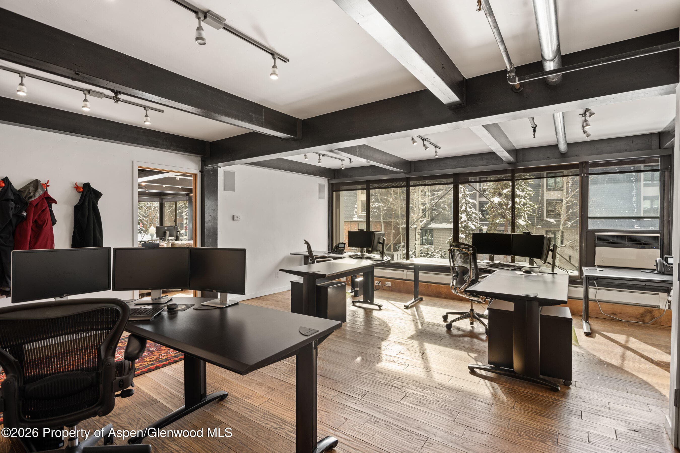 710 E Durant Avenue W9,W10,P19, Aspen, CO 81611 - Photo 12
