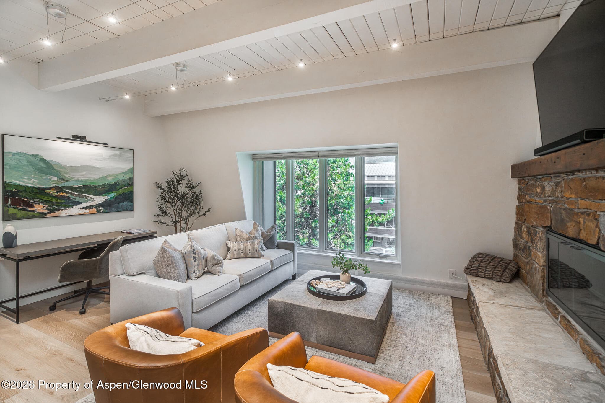 725 E Durant Avenue 19, Aspen, CO 81611 - Photo 1