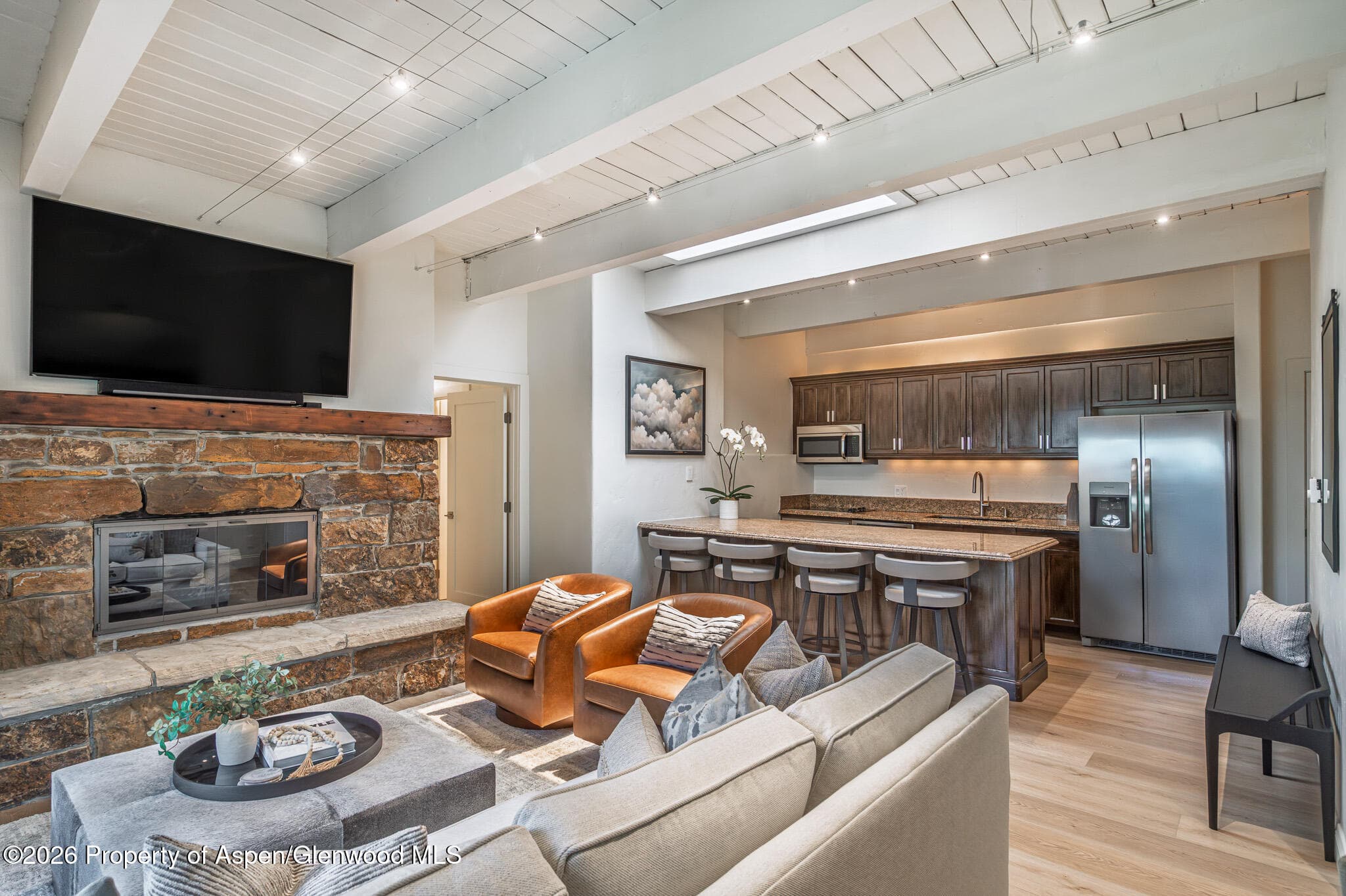 725 E Durant Avenue 19, Aspen, CO 81611 - Photo 6