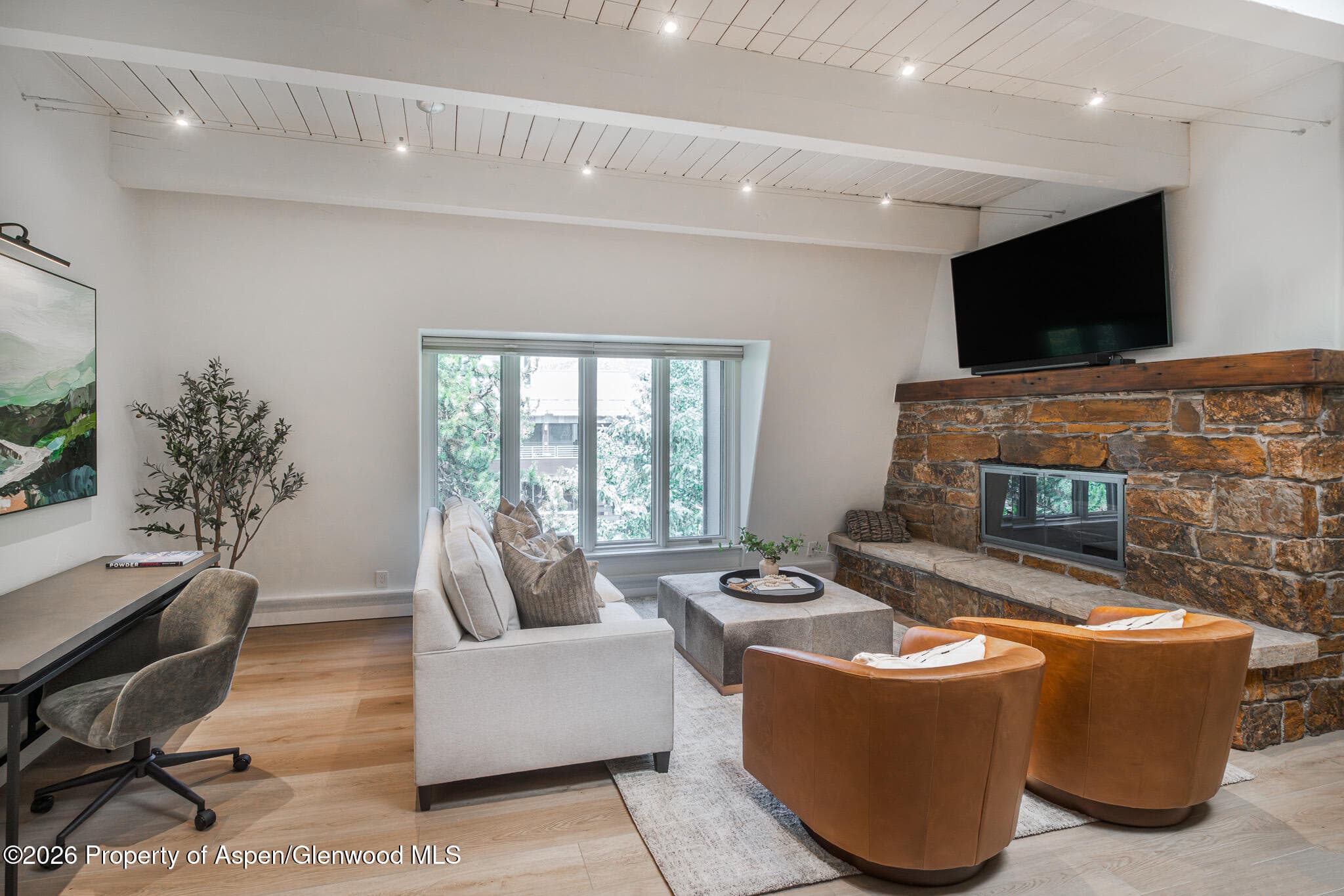 725 E Durant Avenue 19, Aspen, CO 81611 - Photo 2