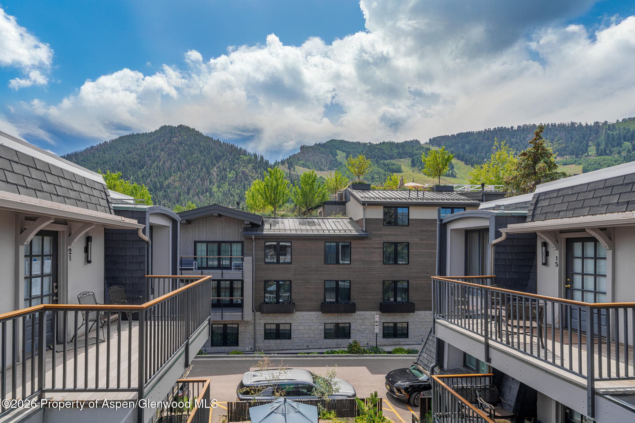 725 E Durant Avenue 19, Aspen, CO 81611 - Photo 12