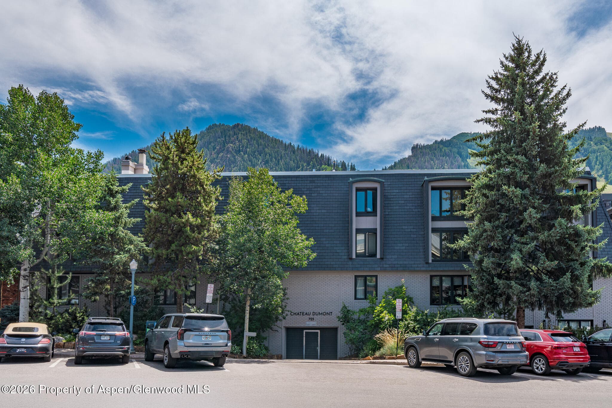 725 E Durant Avenue 19, Aspen, CO 81611 - Photo 14
