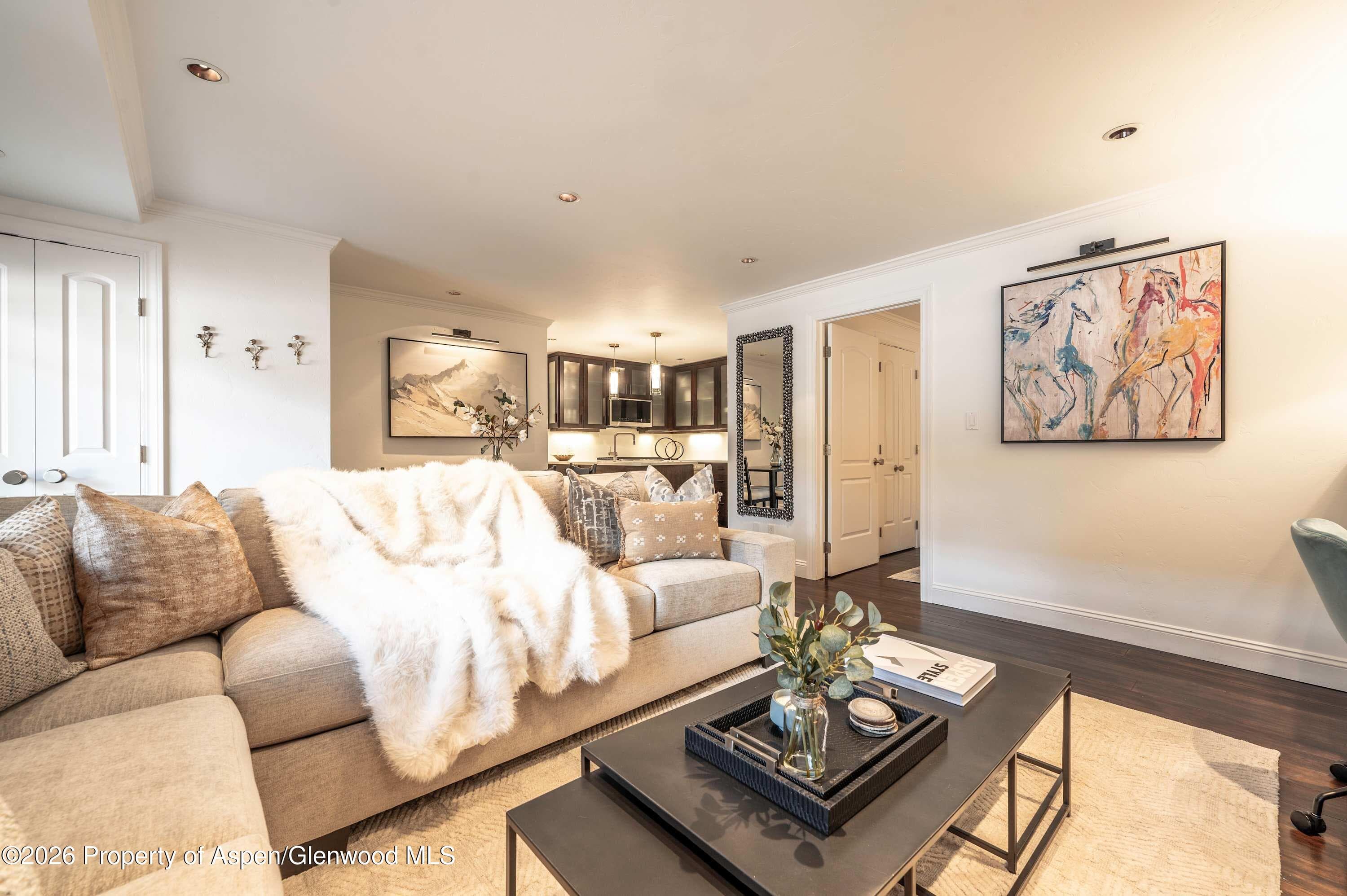 747 S Galena Street Unit 110, Aspen, CO 81611