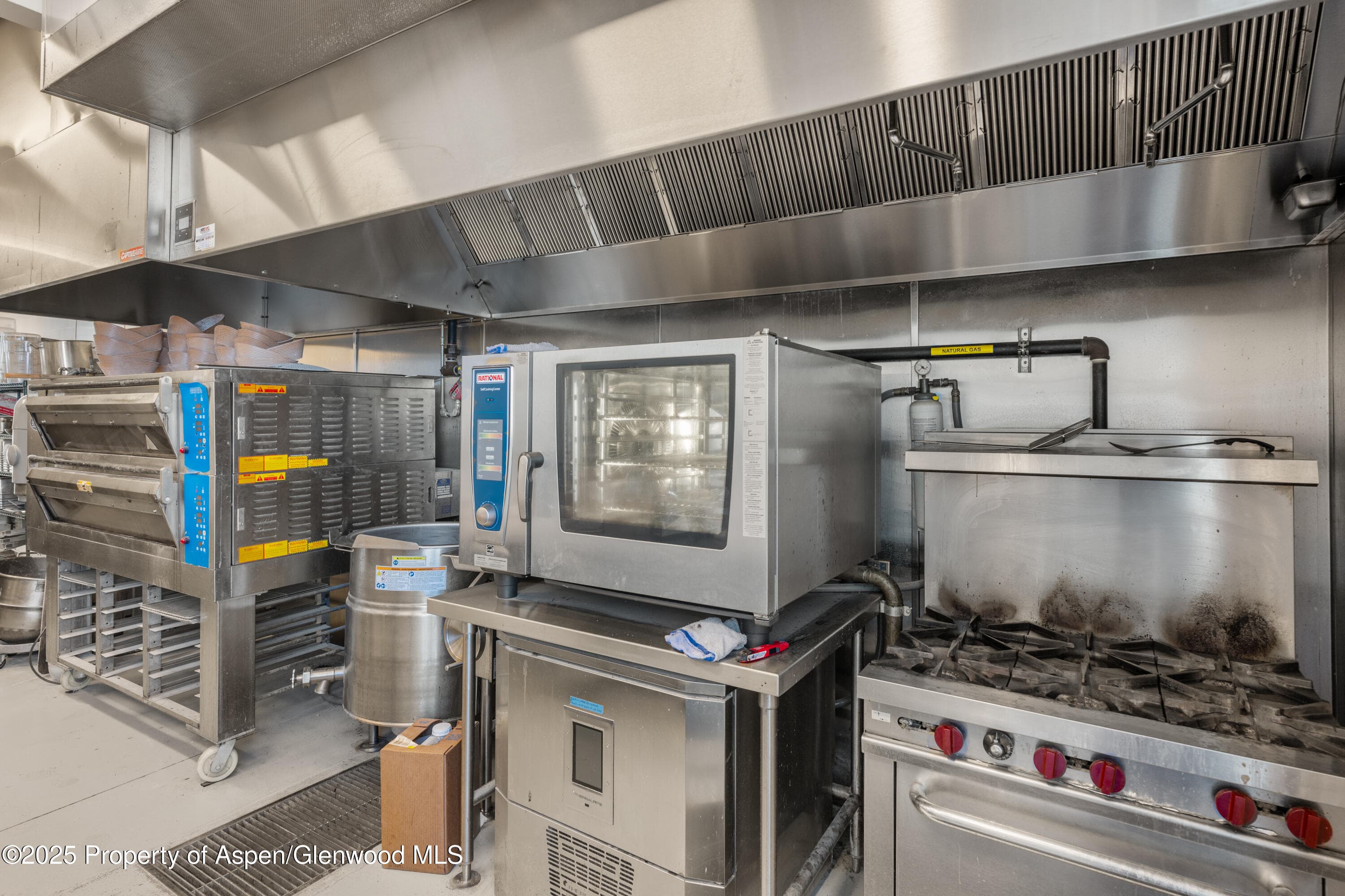 210 Aspen Airport Business, Aspen, CO 81611 - Photo 16