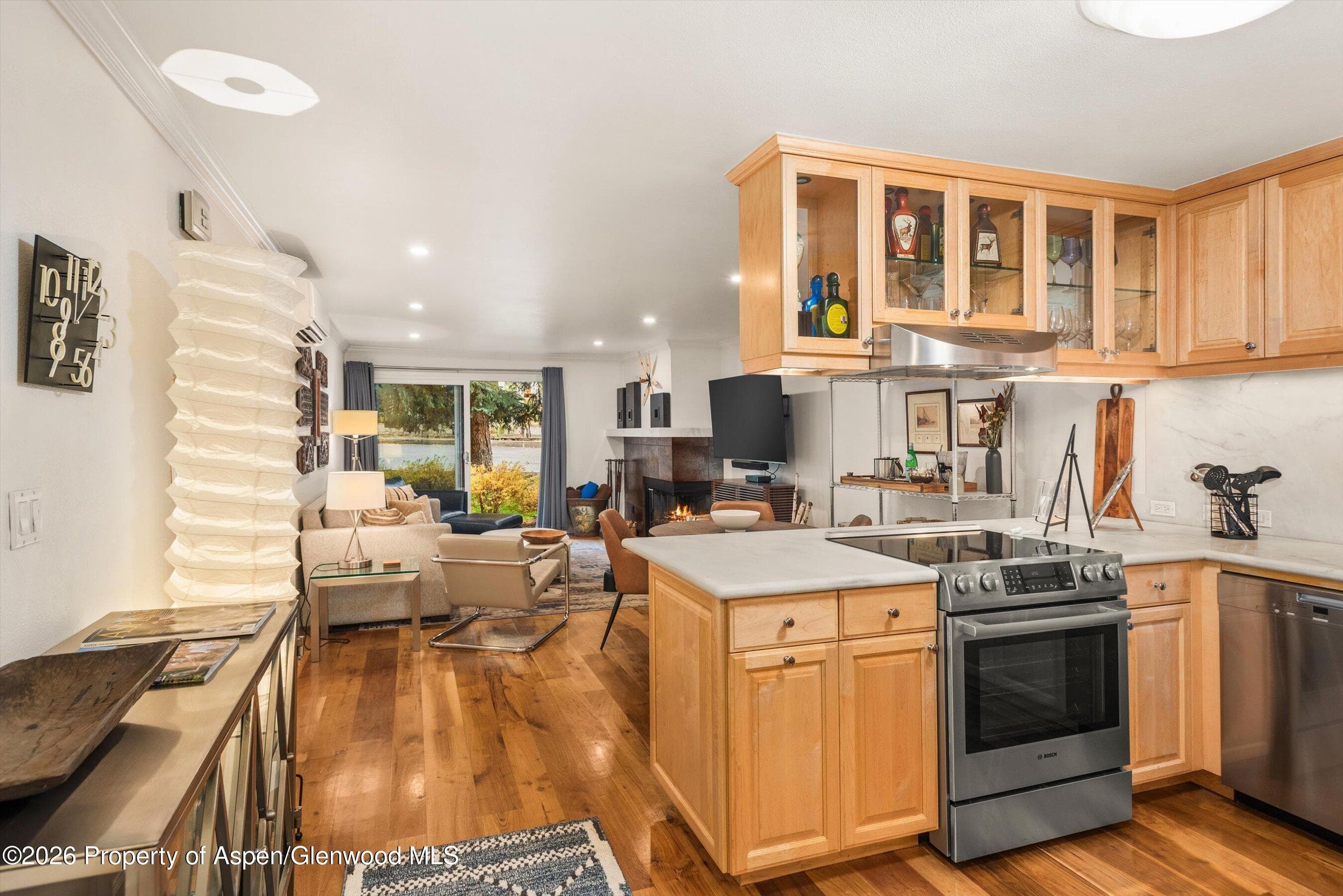 205 E Durant Avenue 1-B, Aspen, CO 81611 - Photo 5