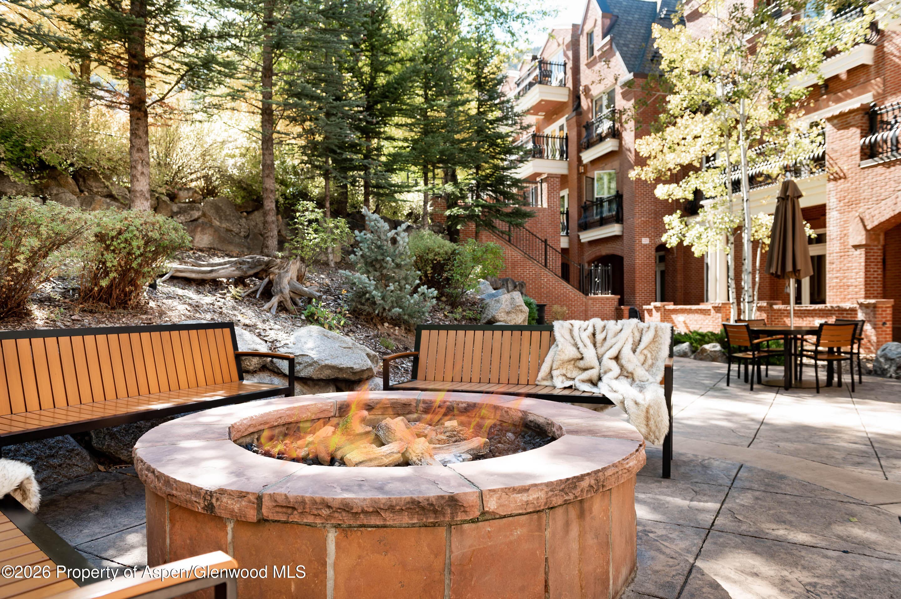 415 E Dean Street 23a, Week 8, Aspen, CO 81611 - Photo 8