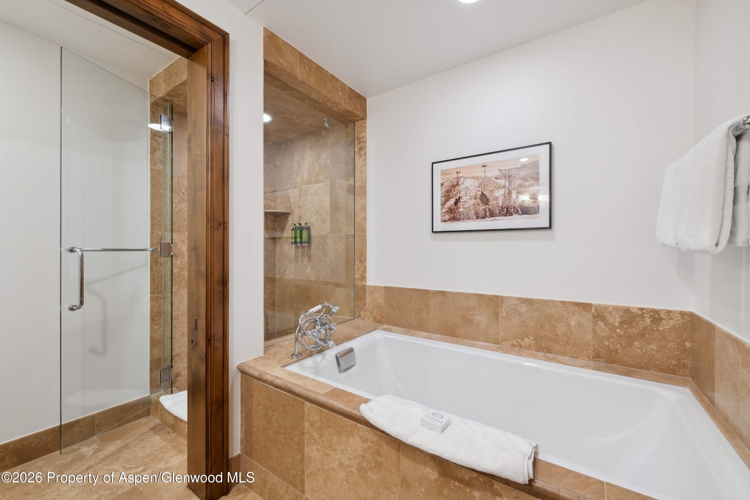 415 E Dean Street 23a, Week 8, Aspen, CO 81611 - Photo 5