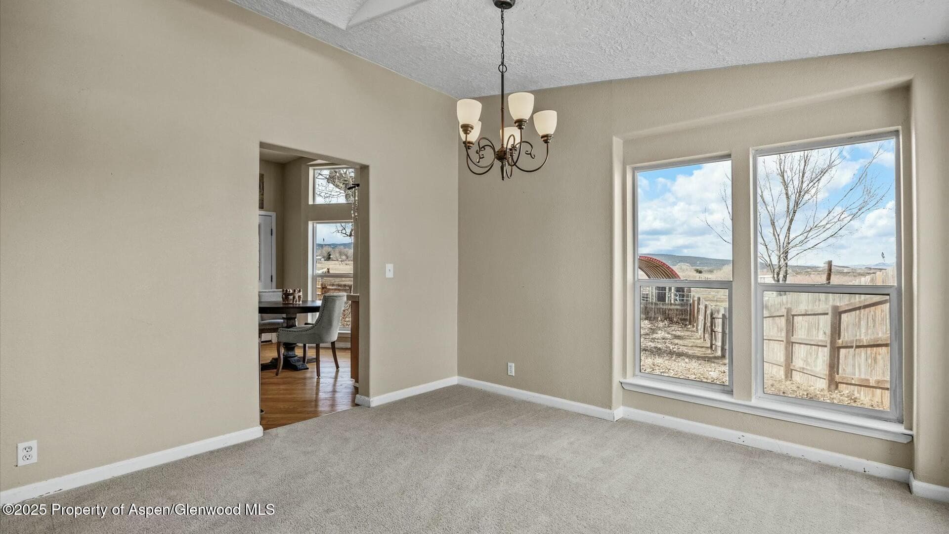 10479 50 Road, Mesa, CO 81643 - Photo 15